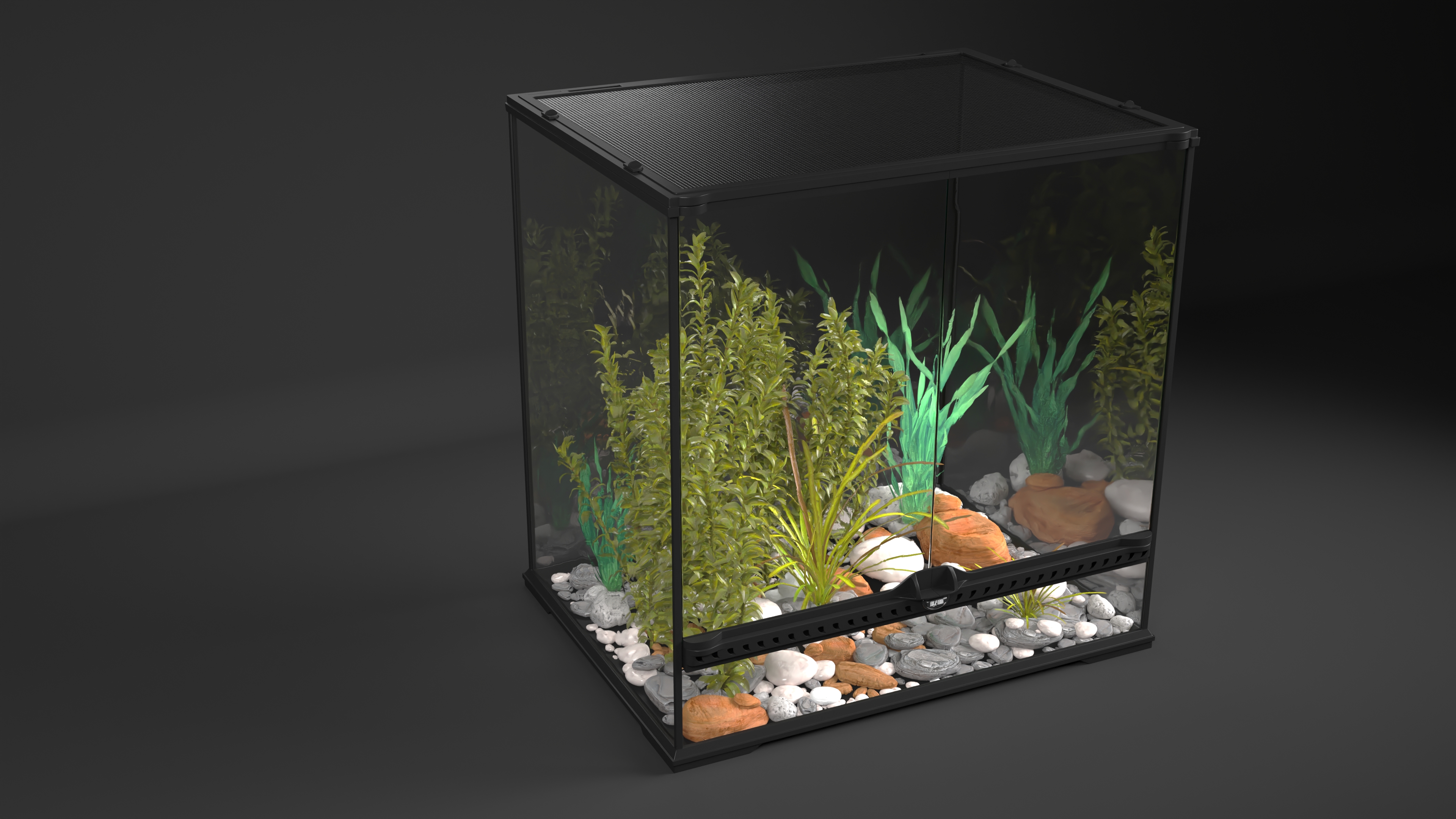 Big Terrarium with Tropic Plants 3D