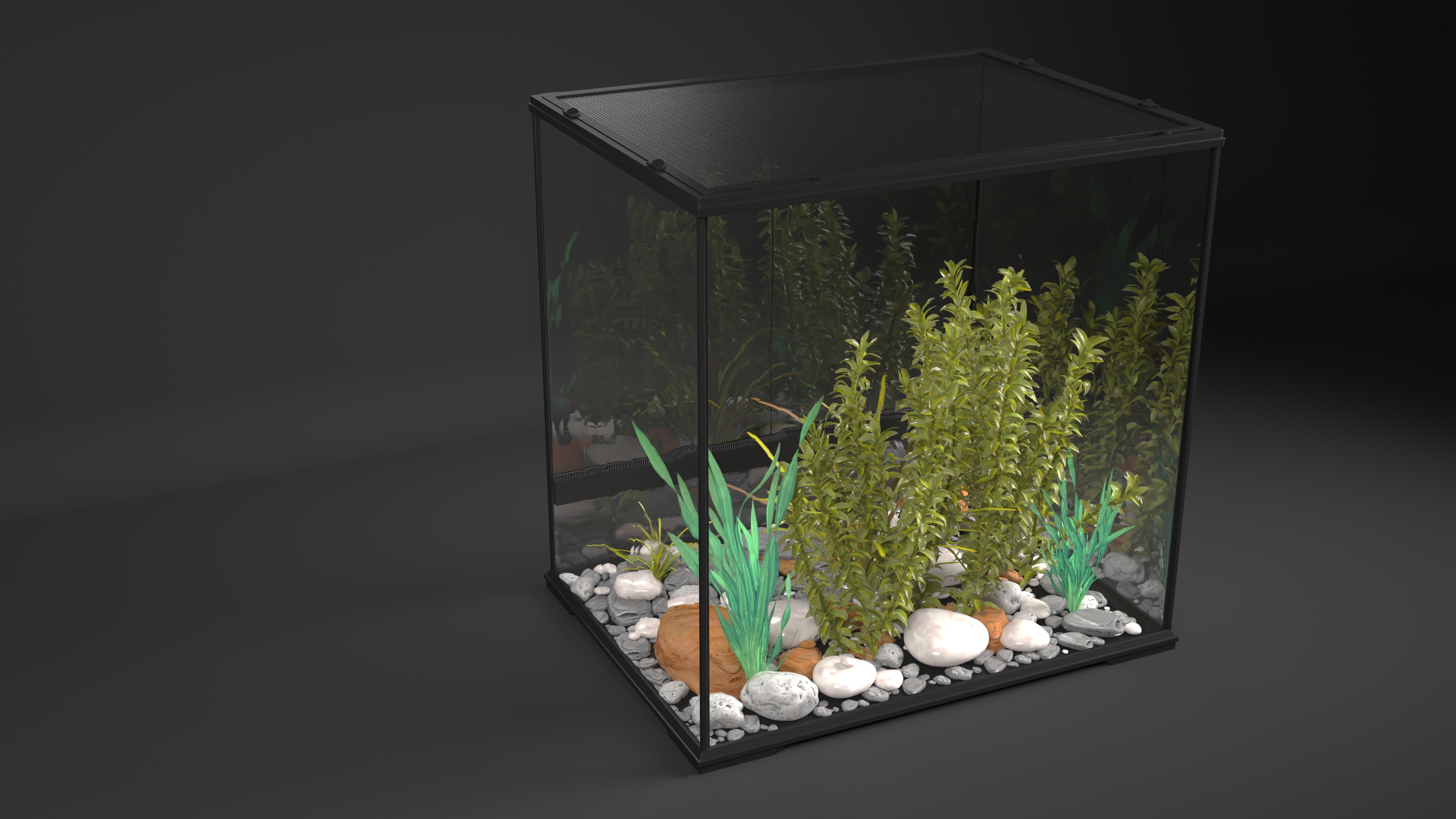 Big Terrarium with Tropic Plants 3D