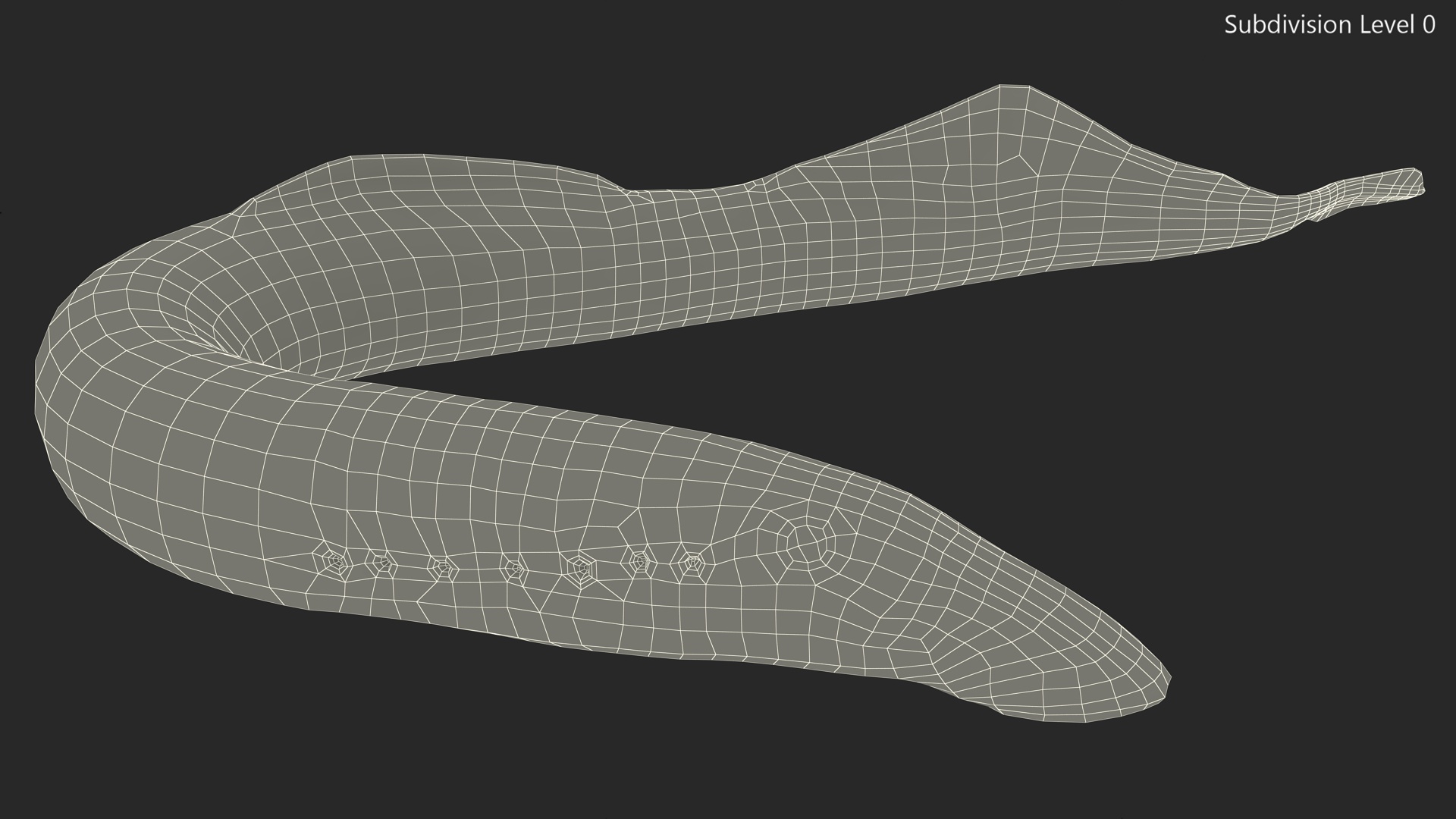 Lamprey Bent Pose 3D