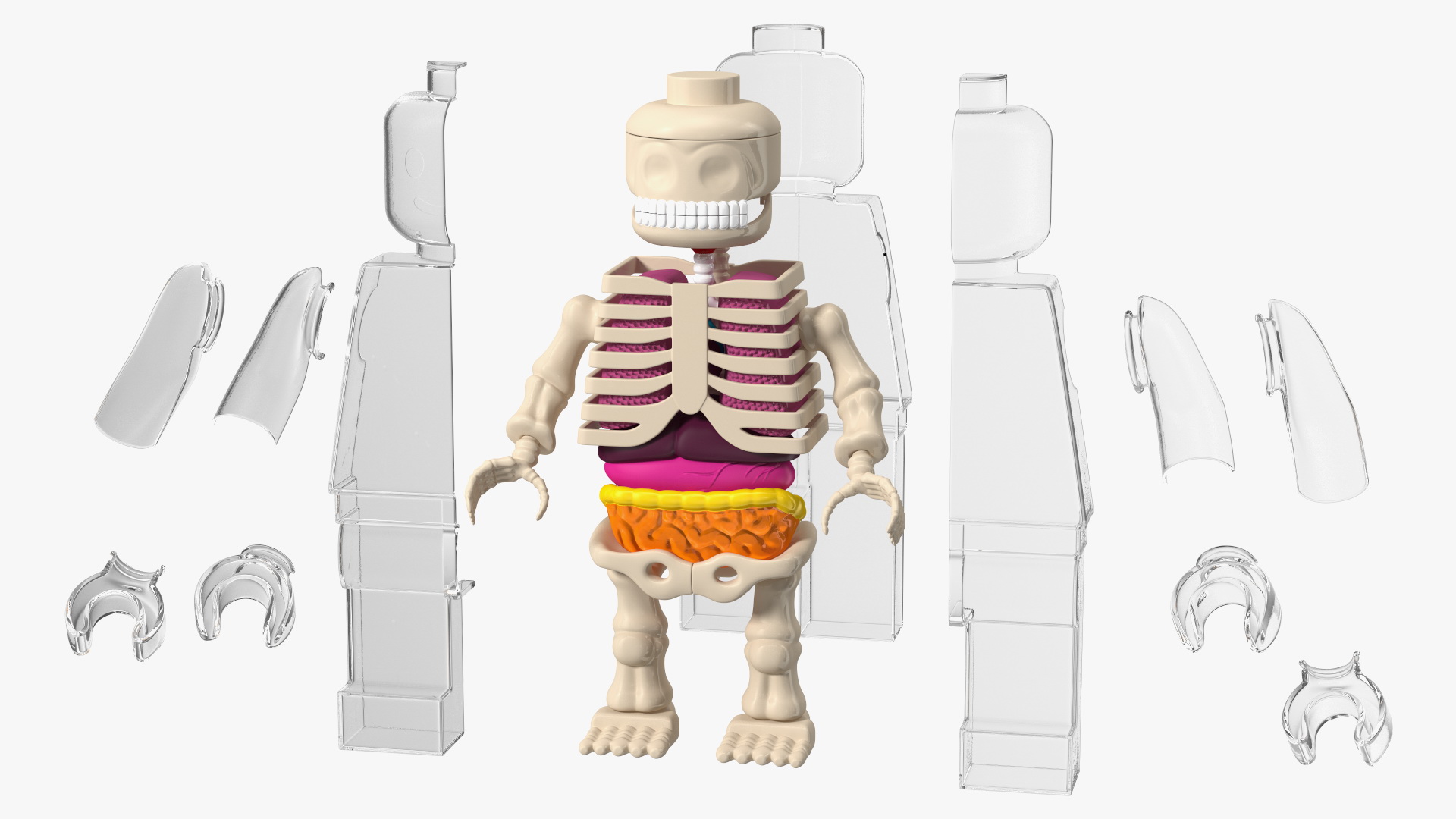 3D model Anatomical LEGO Man Glass