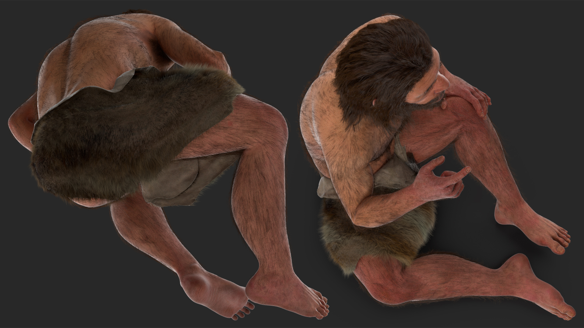 3D Sitting Neanderthal Fur model