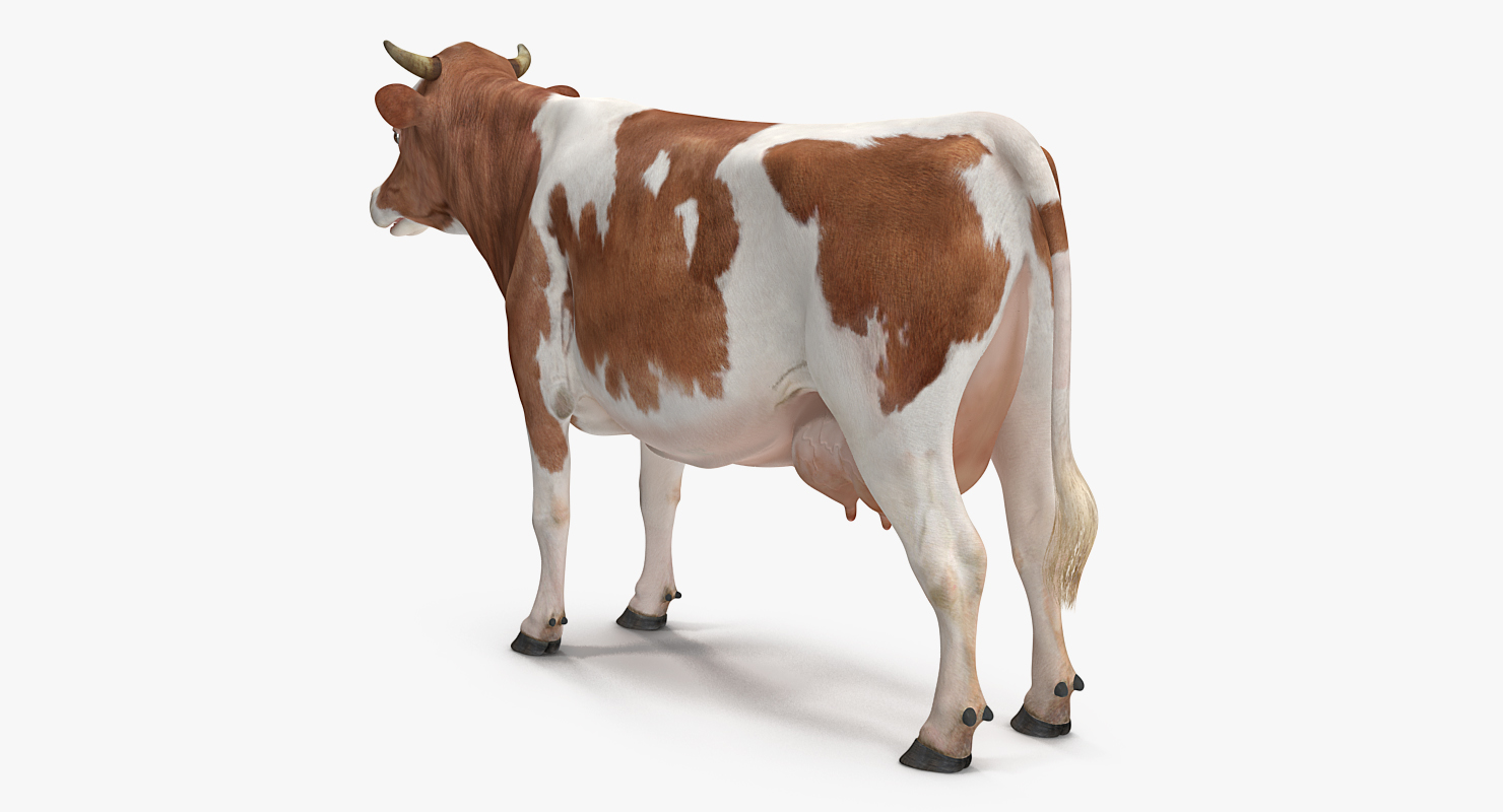 Cow 3D model