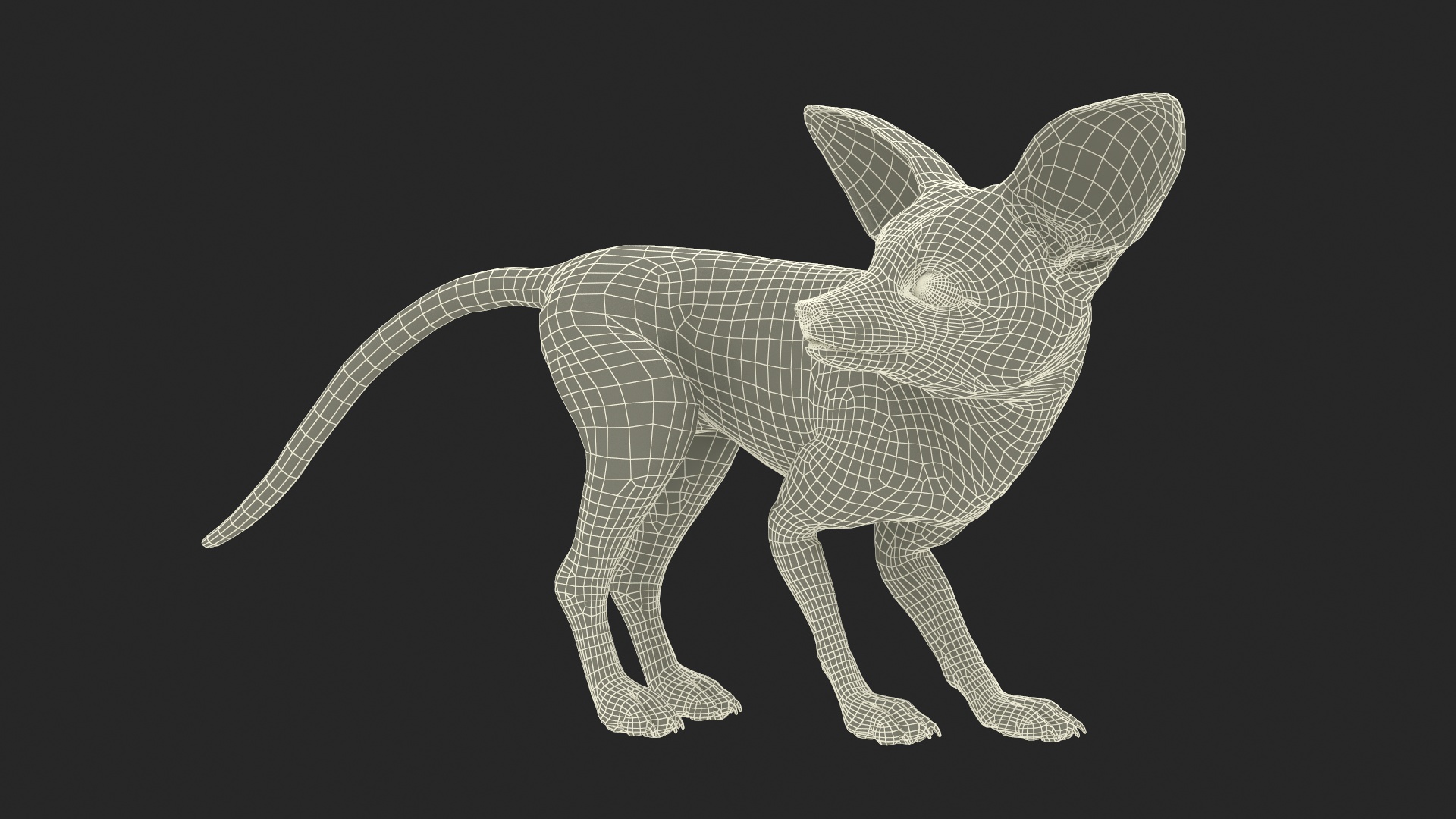 3D Desert Fox Fennec Fur Rigged model