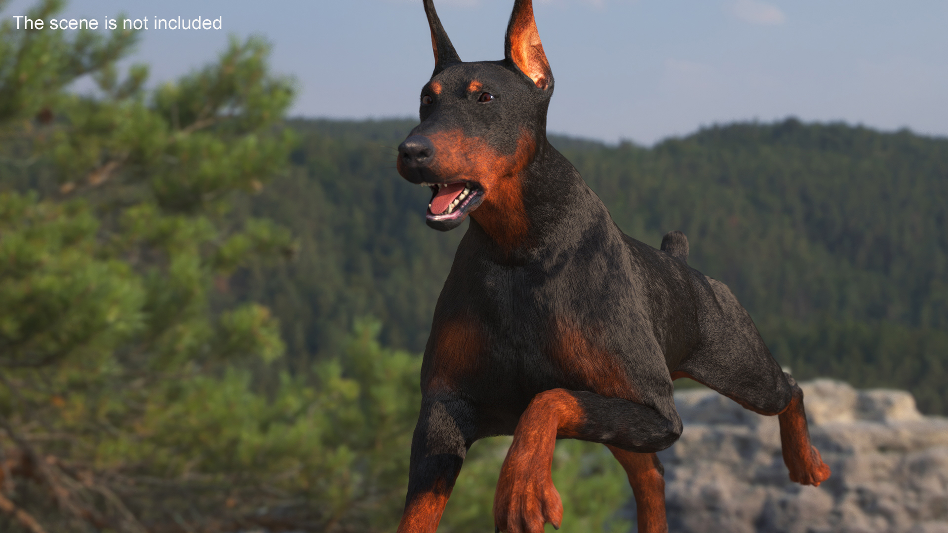 Doberman Pinscher Running Fur 3D model