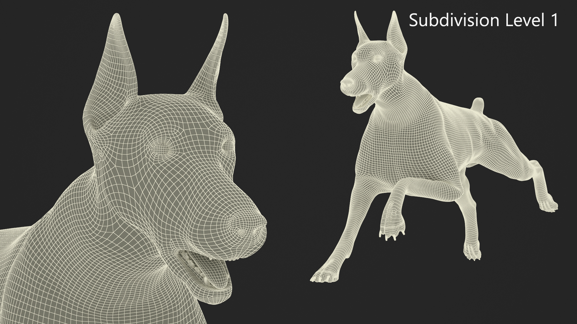 Doberman Pinscher Running Fur 3D model