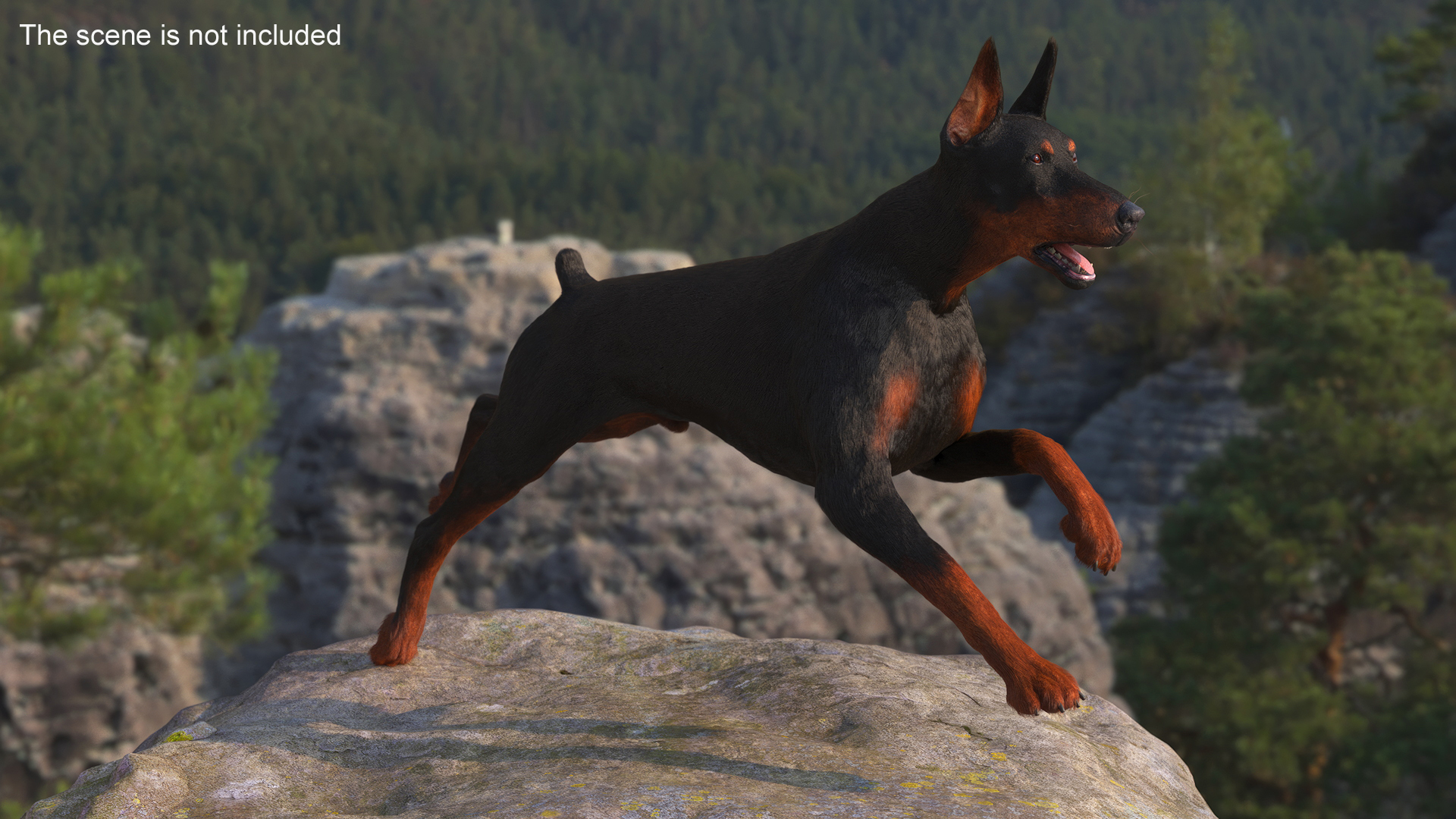 Doberman Pinscher Running Fur 3D model