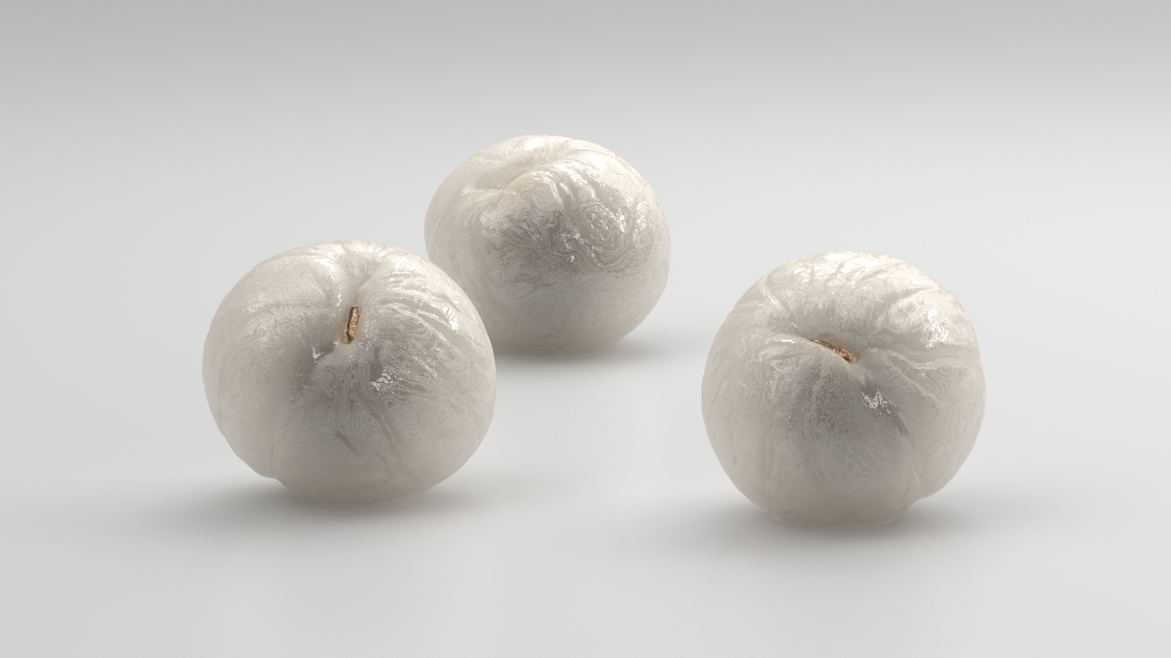 3D Peeled Longan model