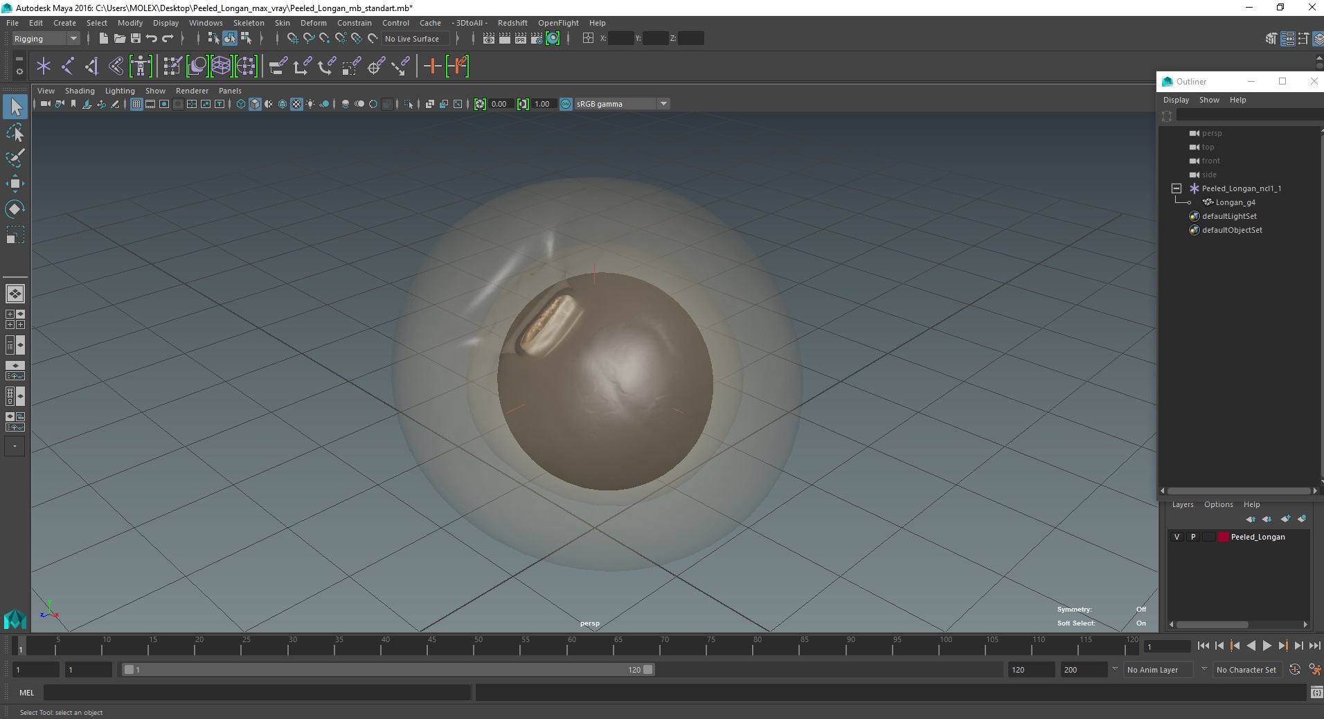 3D Peeled Longan model