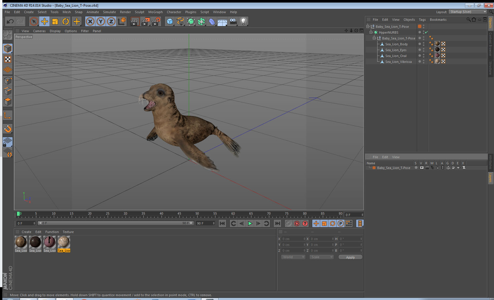 3D model Baby Sea Lion T-Pose