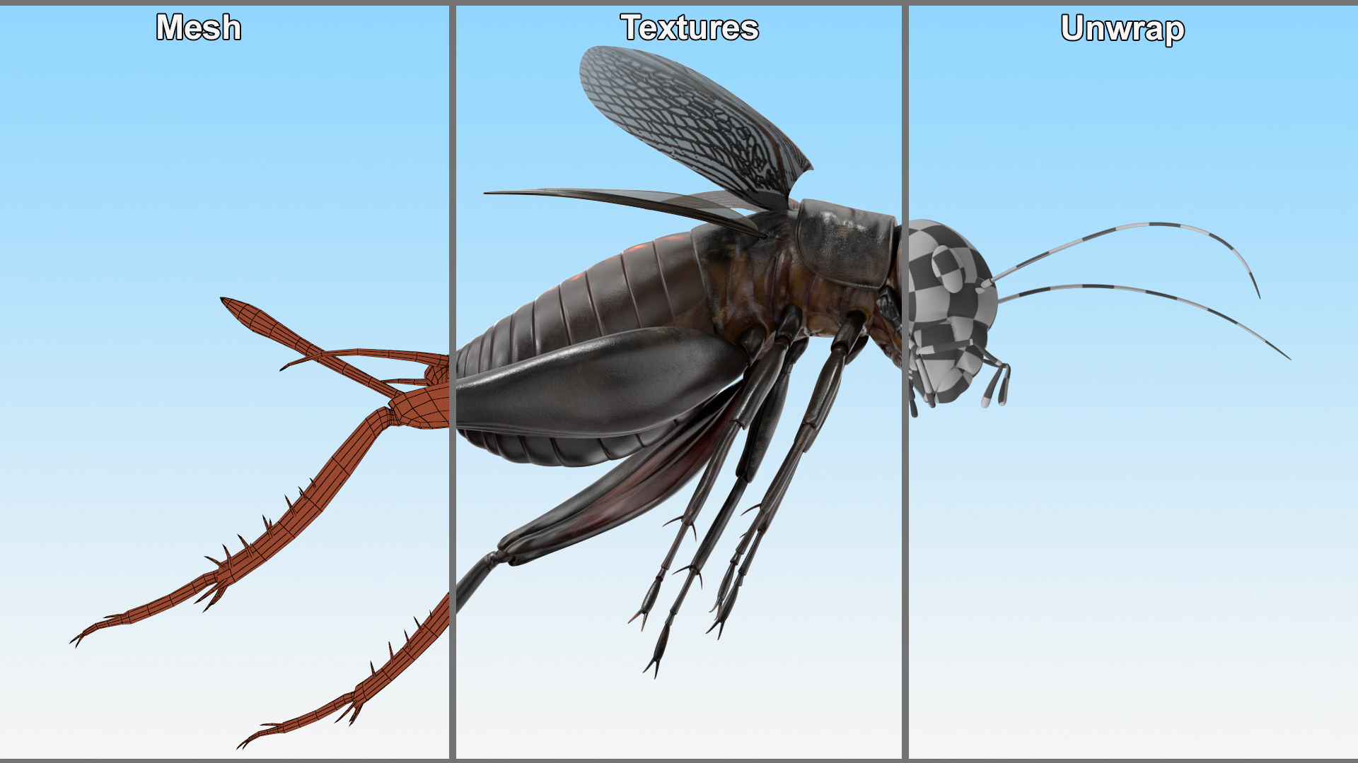 3D Field Cricket Jumping