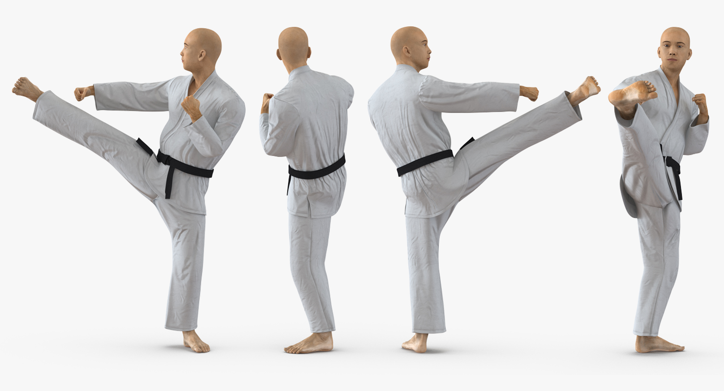 3D model Japanese Karate Fighter Rigged