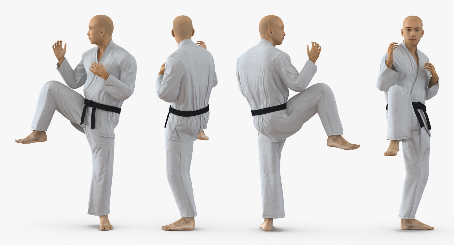 3D model Japanese Karate Fighter Rigged