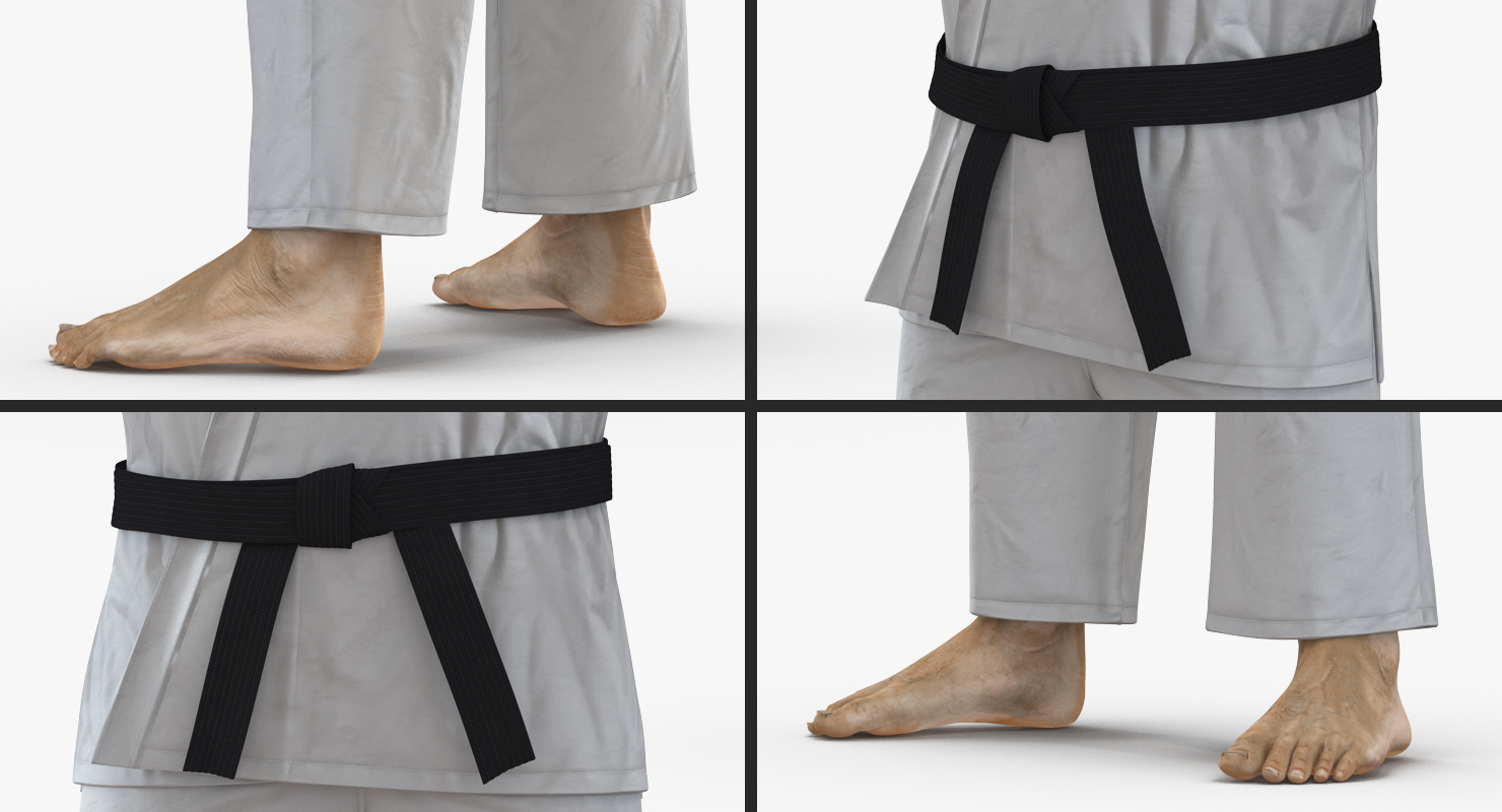 3D model Japanese Karate Fighter Rigged