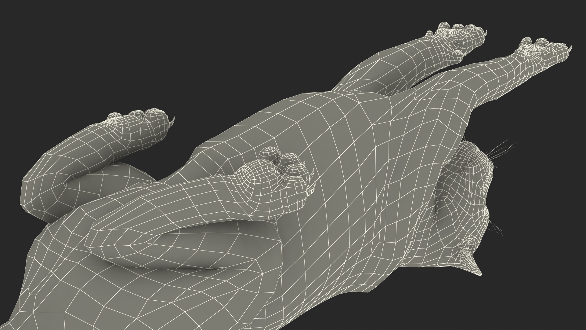 3D Jaguar Lying Down Fur