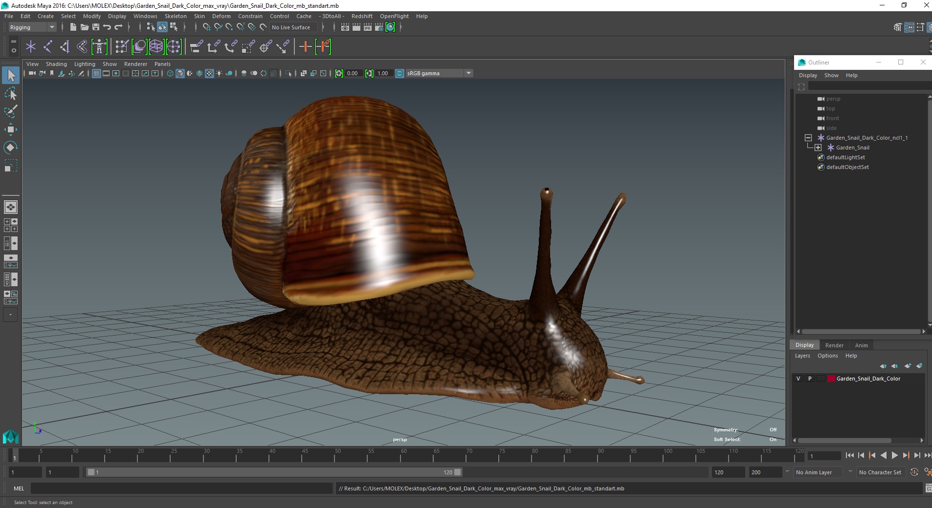 3D Garden Snail Dark Color model