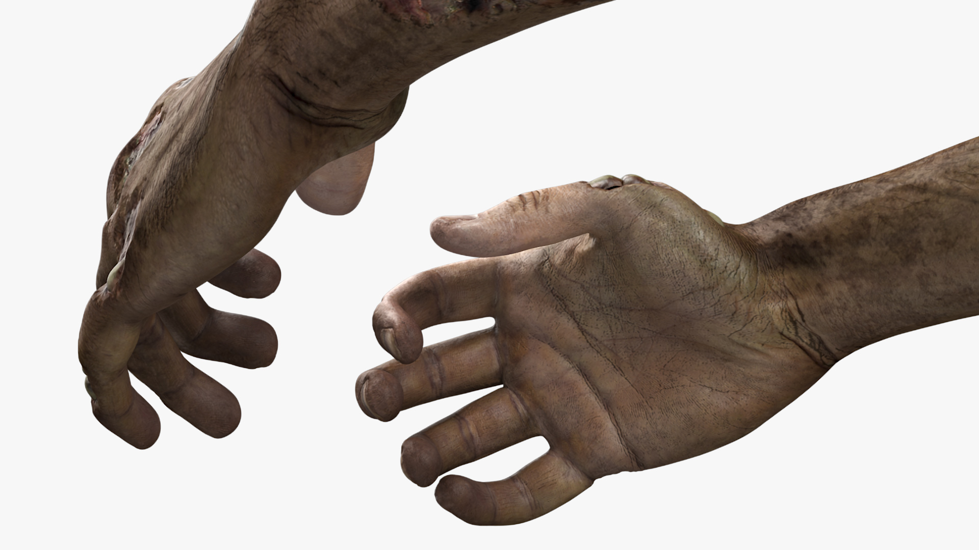 Zombie Hands Rigged 3D model