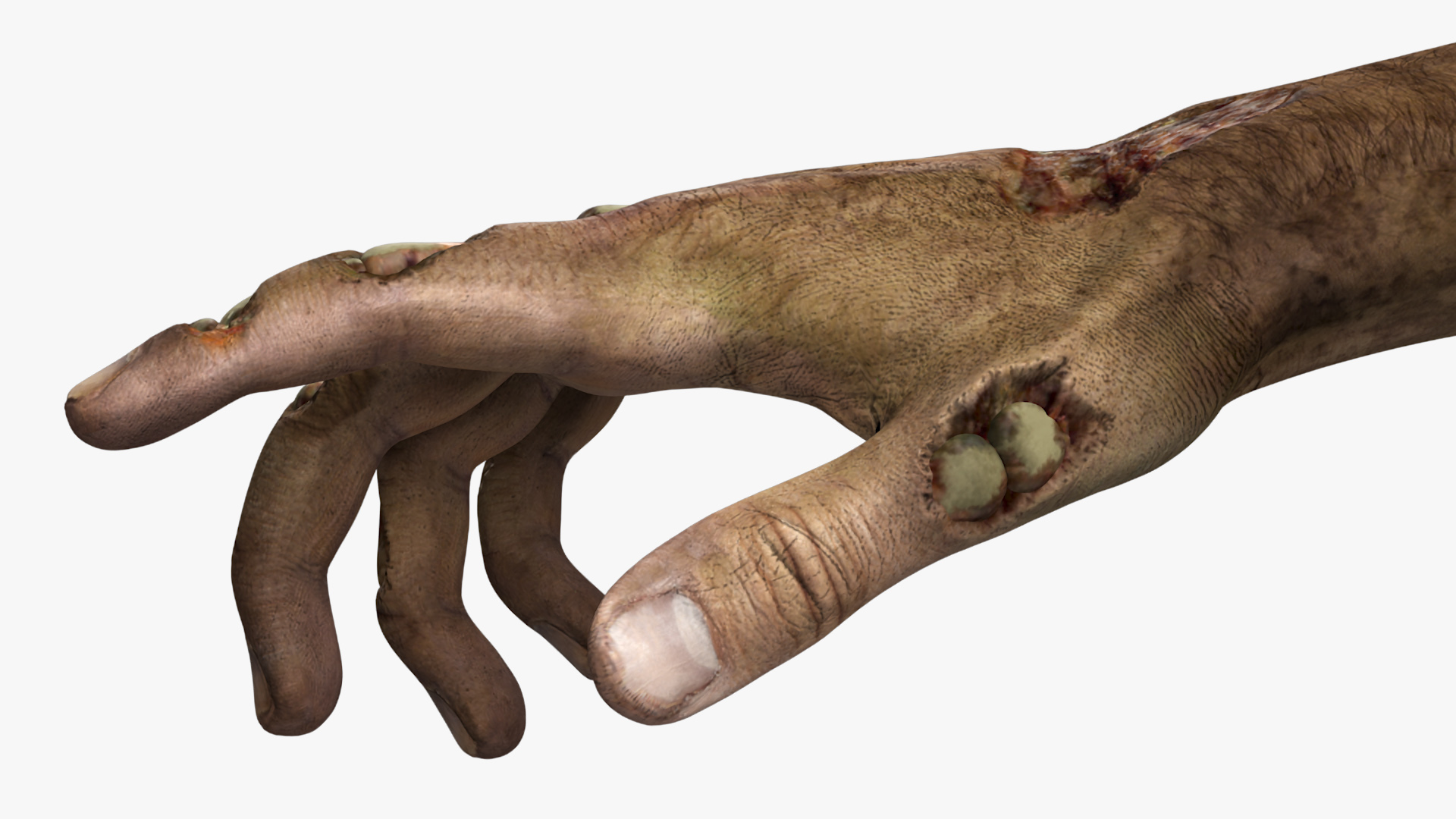 Zombie Hands Rigged 3D model