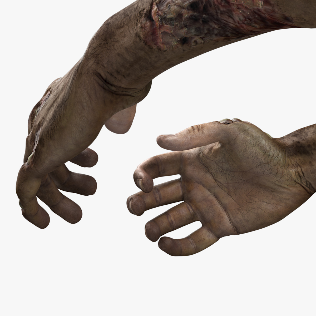 Zombie Hands Rigged 3D model