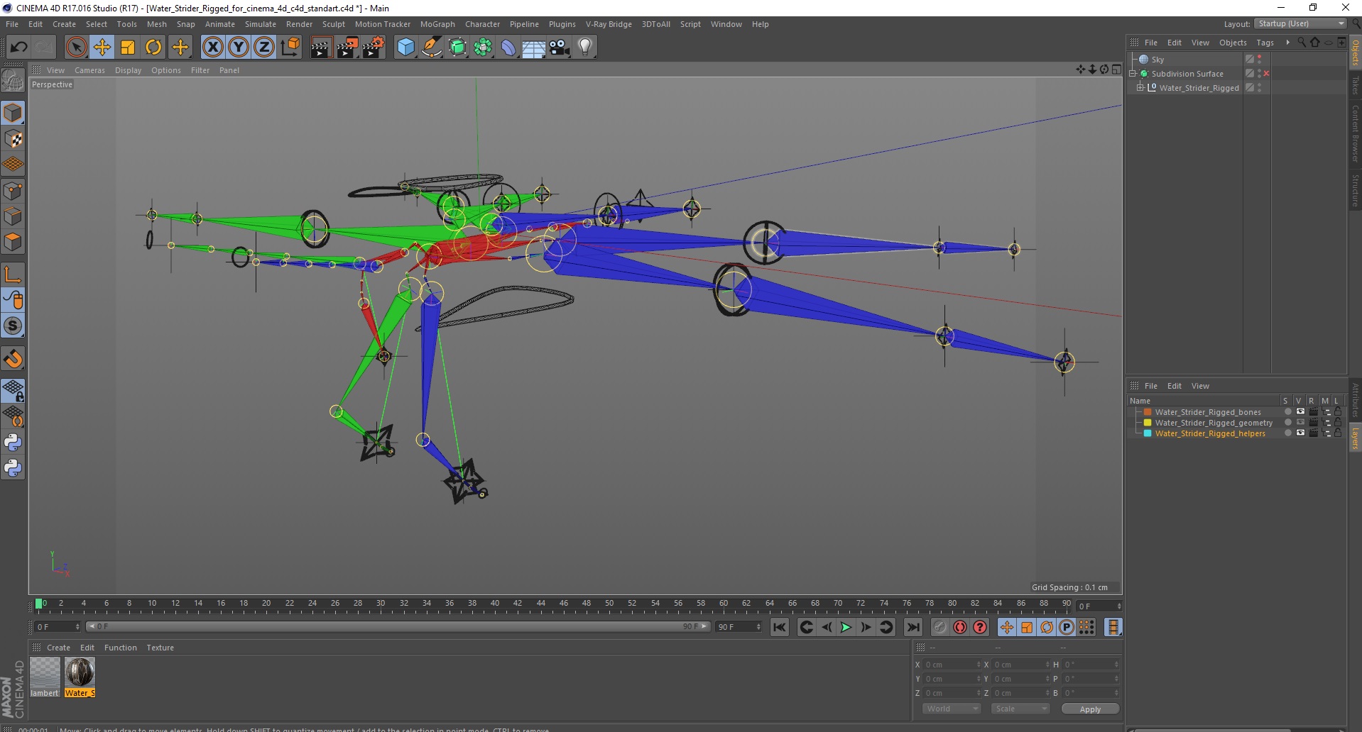Water Strider Rigged for Cinema 4D 3D model