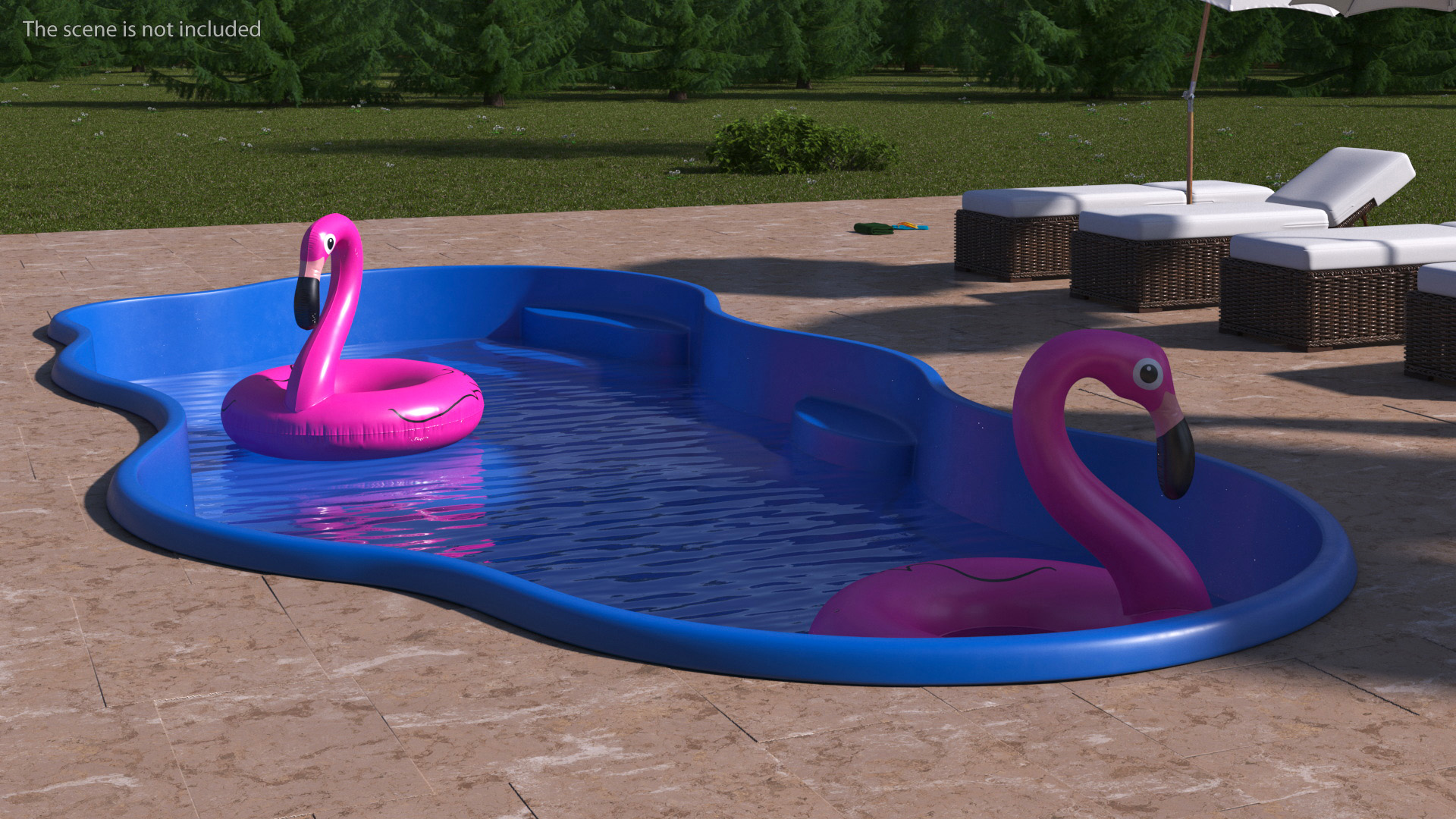 Pool and Inflatable Flamingo Swimming Ring 3D