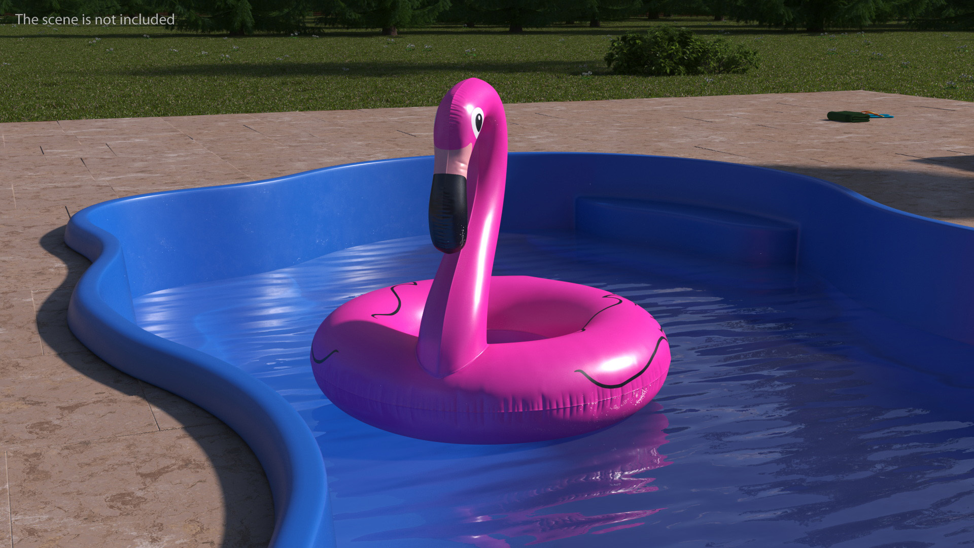 Pool and Inflatable Flamingo Swimming Ring 3D