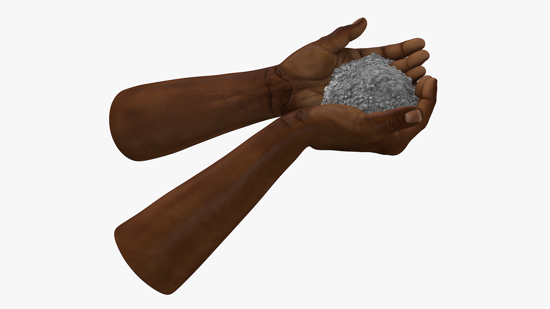 3D Afro American Hands Holding Ashes model