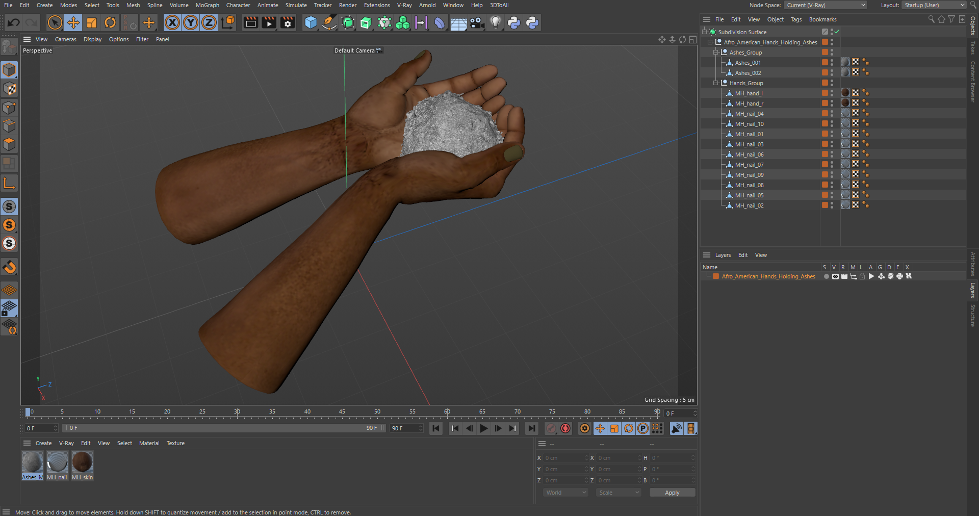 3D Afro American Hands Holding Ashes model