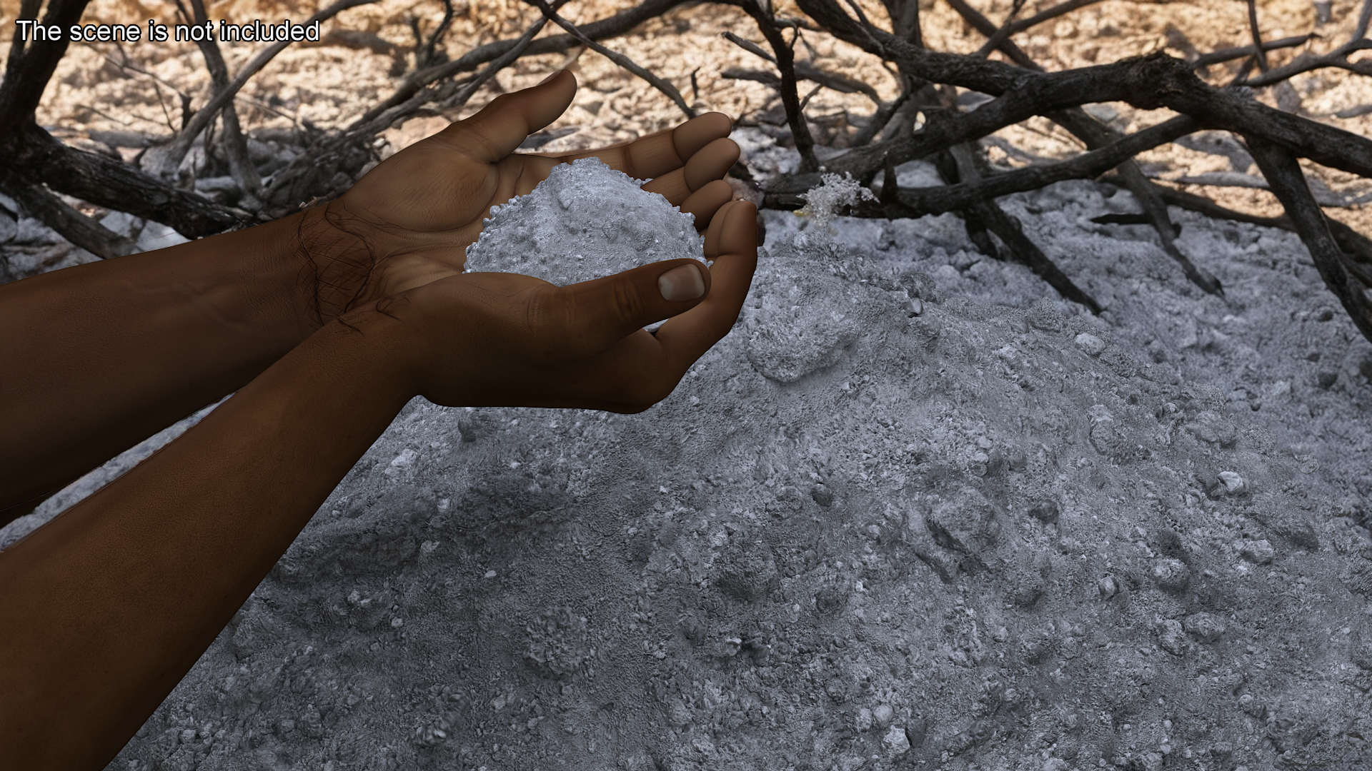 3D Afro American Hands Holding Ashes model