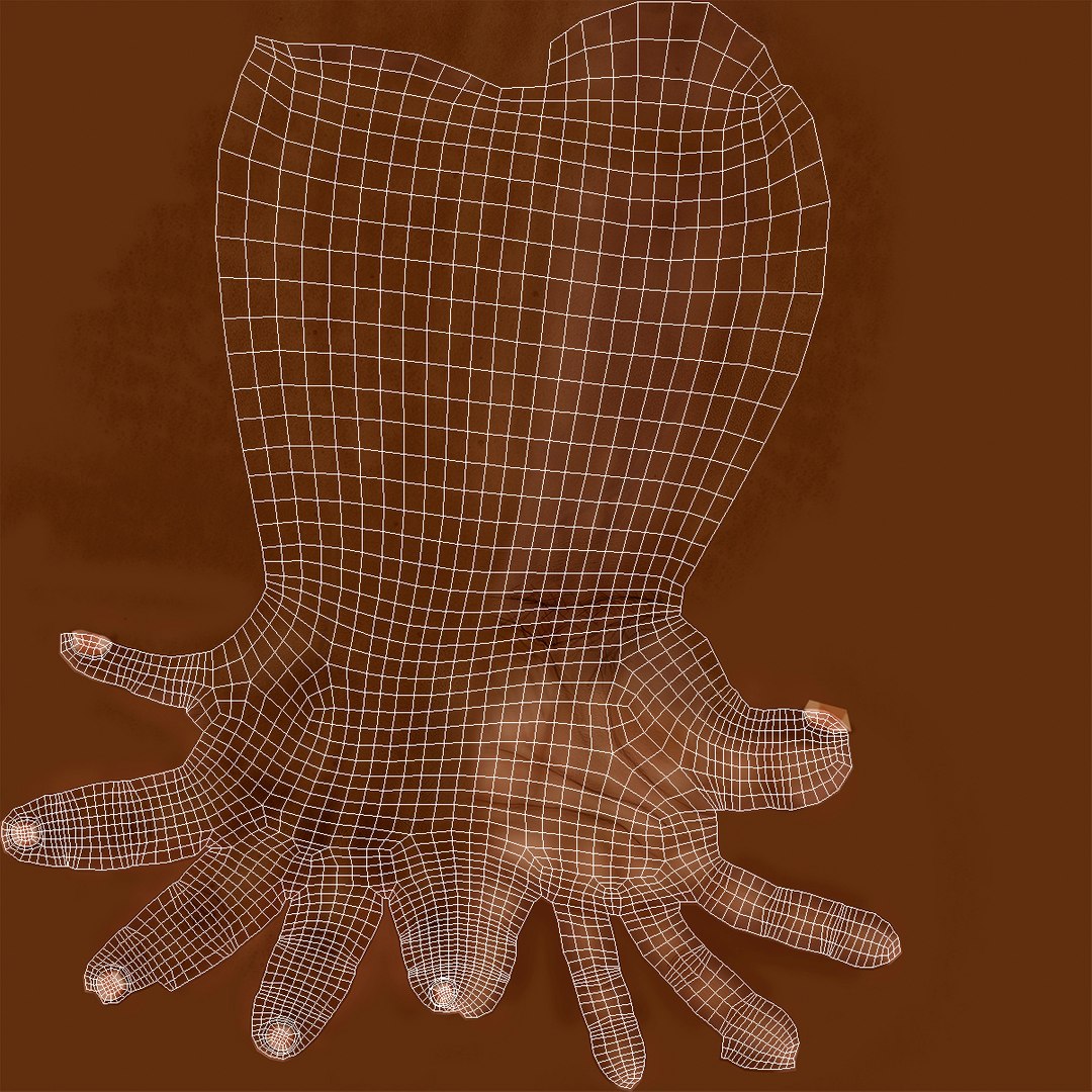 3D Afro American Hands Holding Ashes model