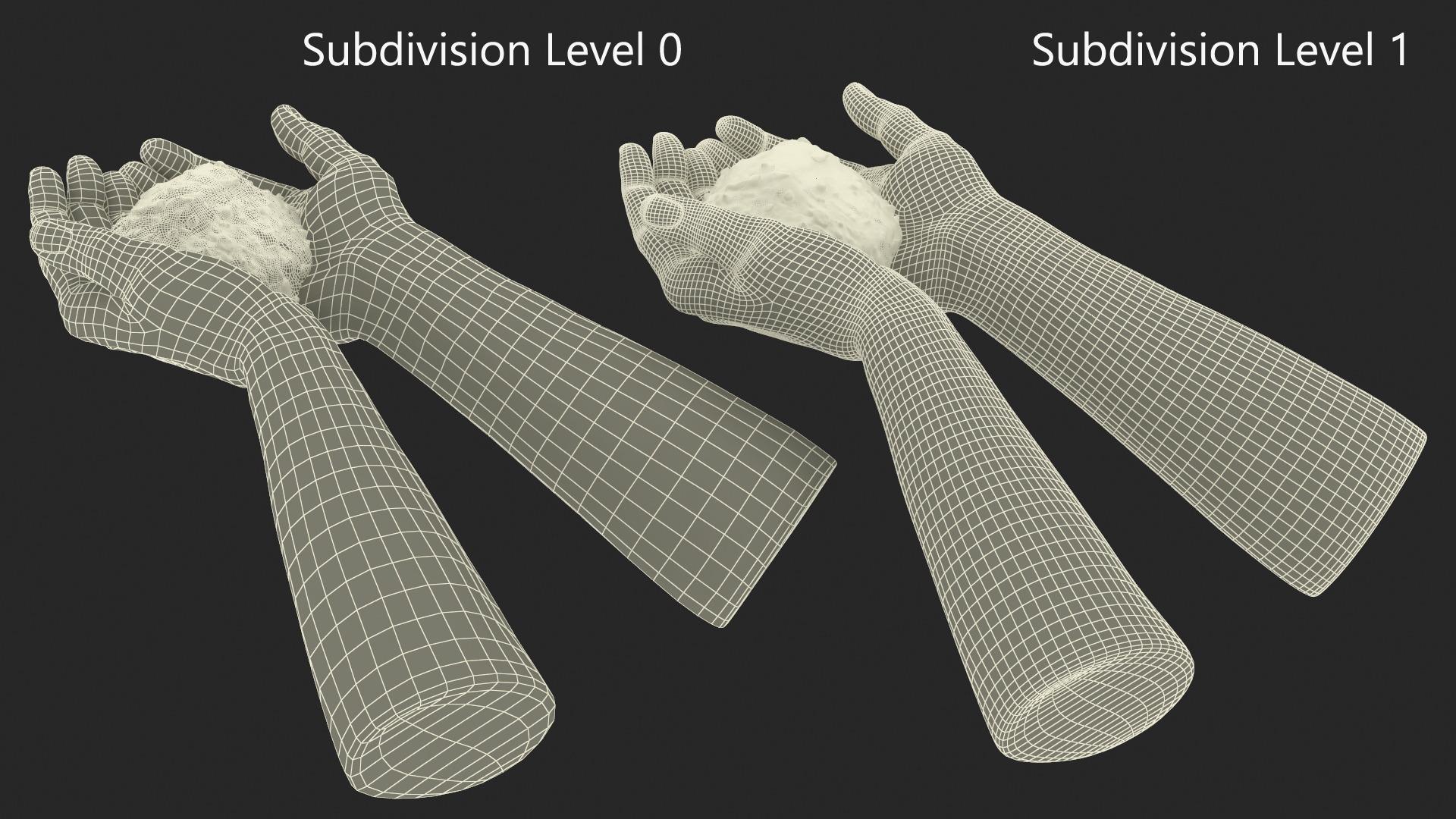 3D Afro American Hands Holding Ashes model