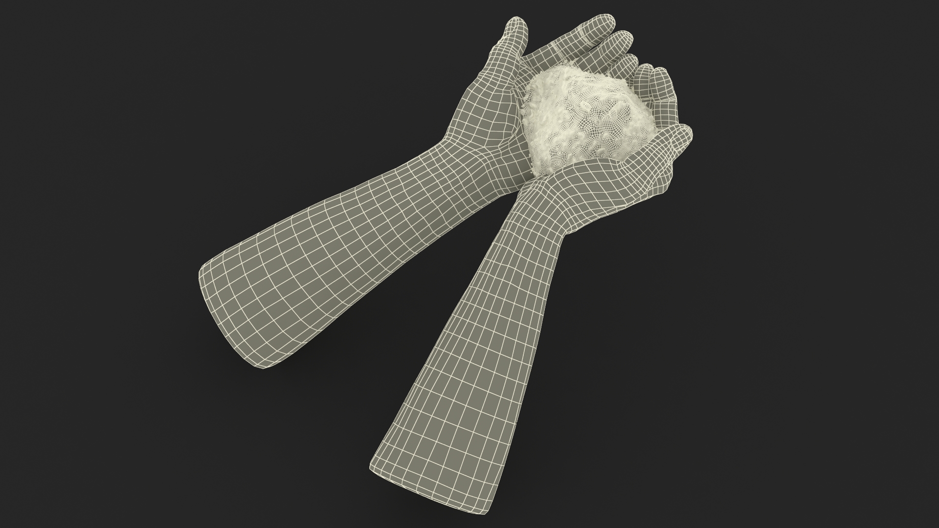 3D Afro American Hands Holding Ashes model