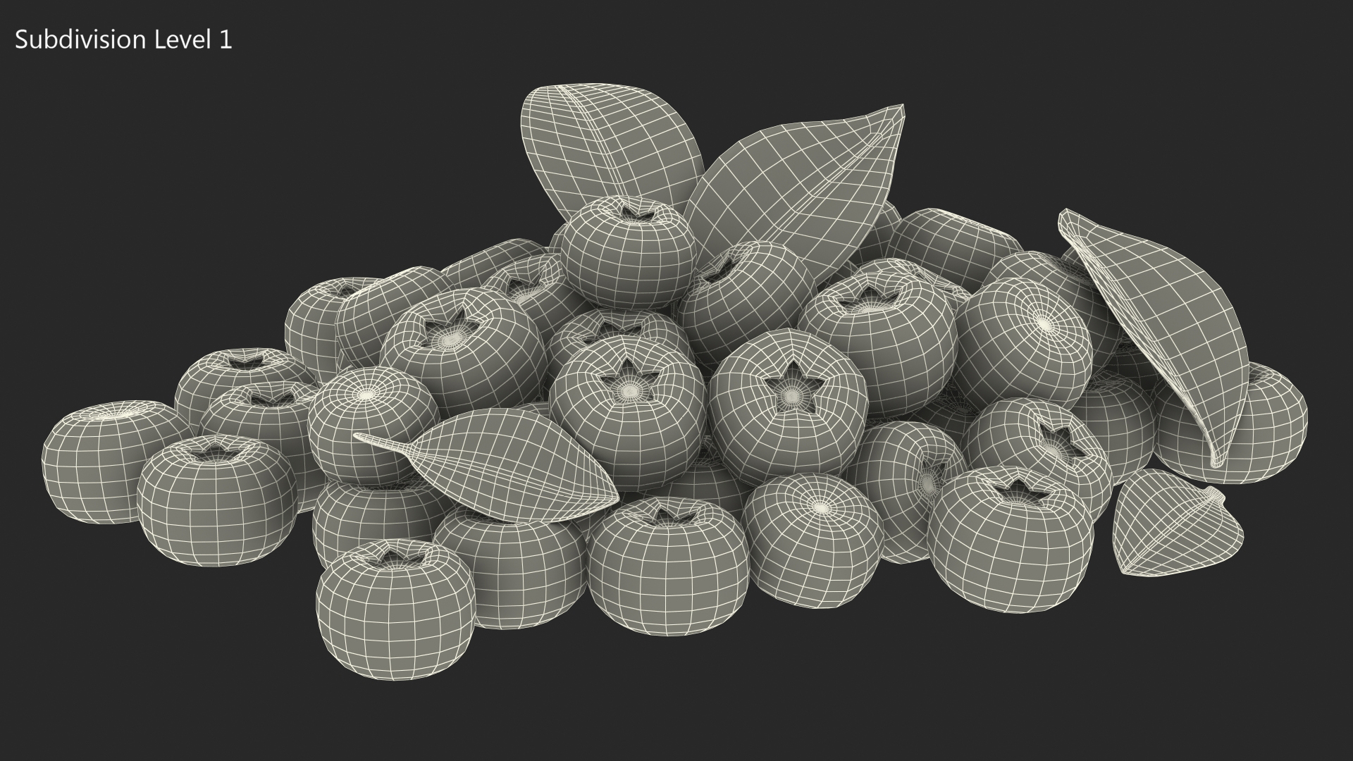 Bunch of Garden Ripe Blueberries 3D