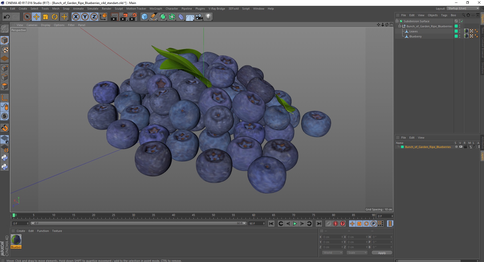 Bunch of Garden Ripe Blueberries 3D