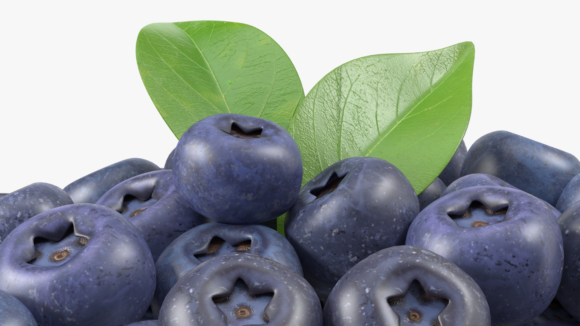 Bunch of Garden Ripe Blueberries 3D