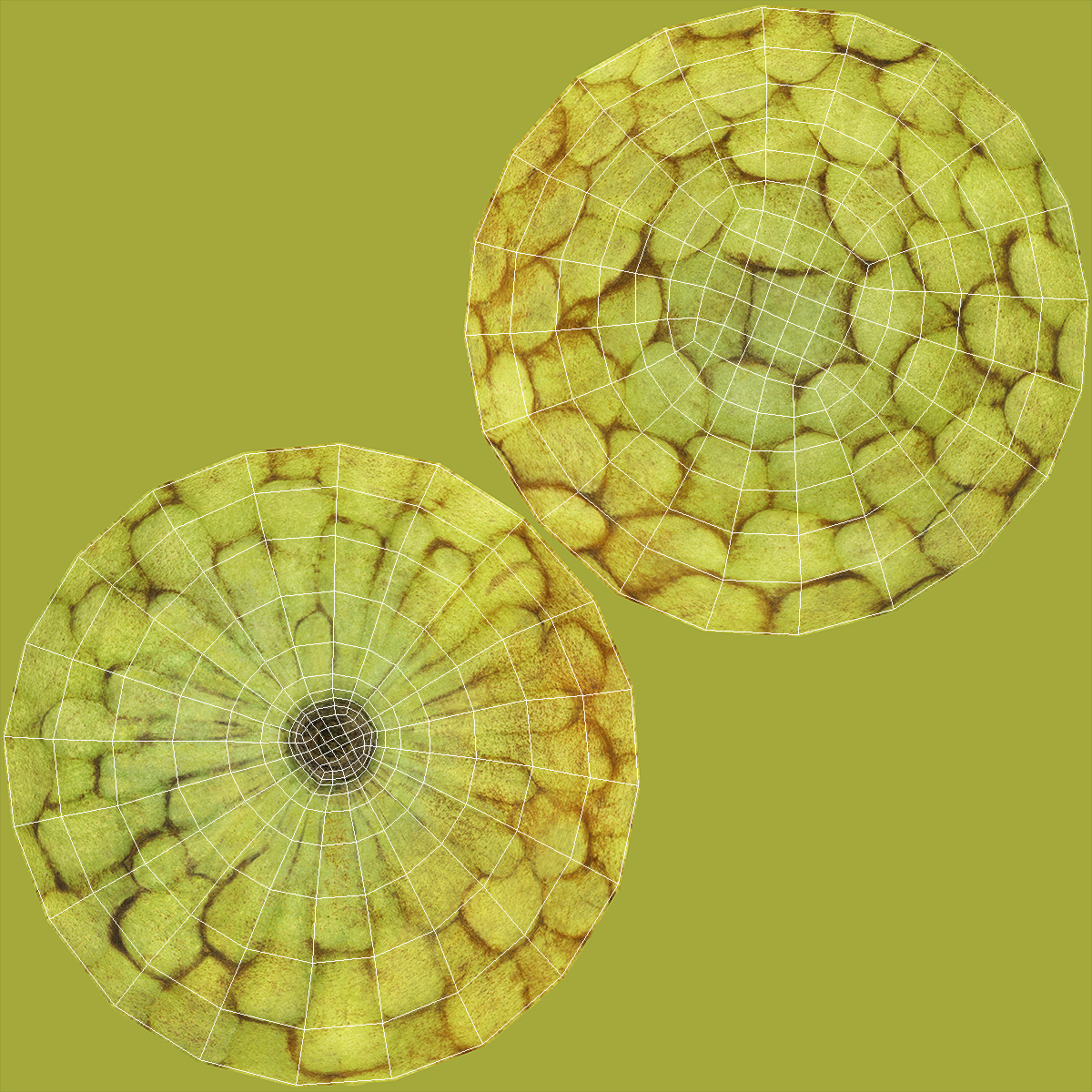 3D model Cherimoya or Annona Cherimola Fruit