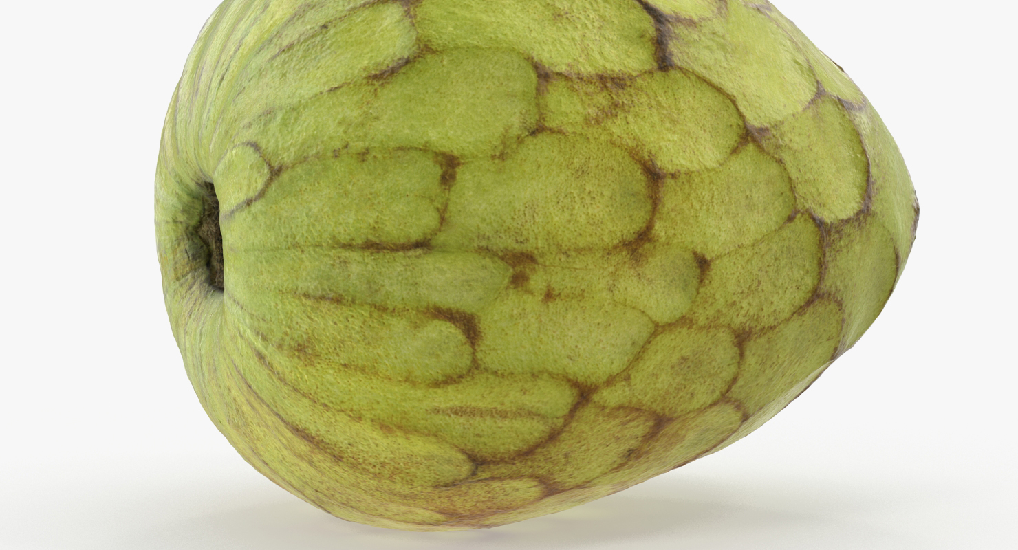 3D model Cherimoya or Annona Cherimola Fruit