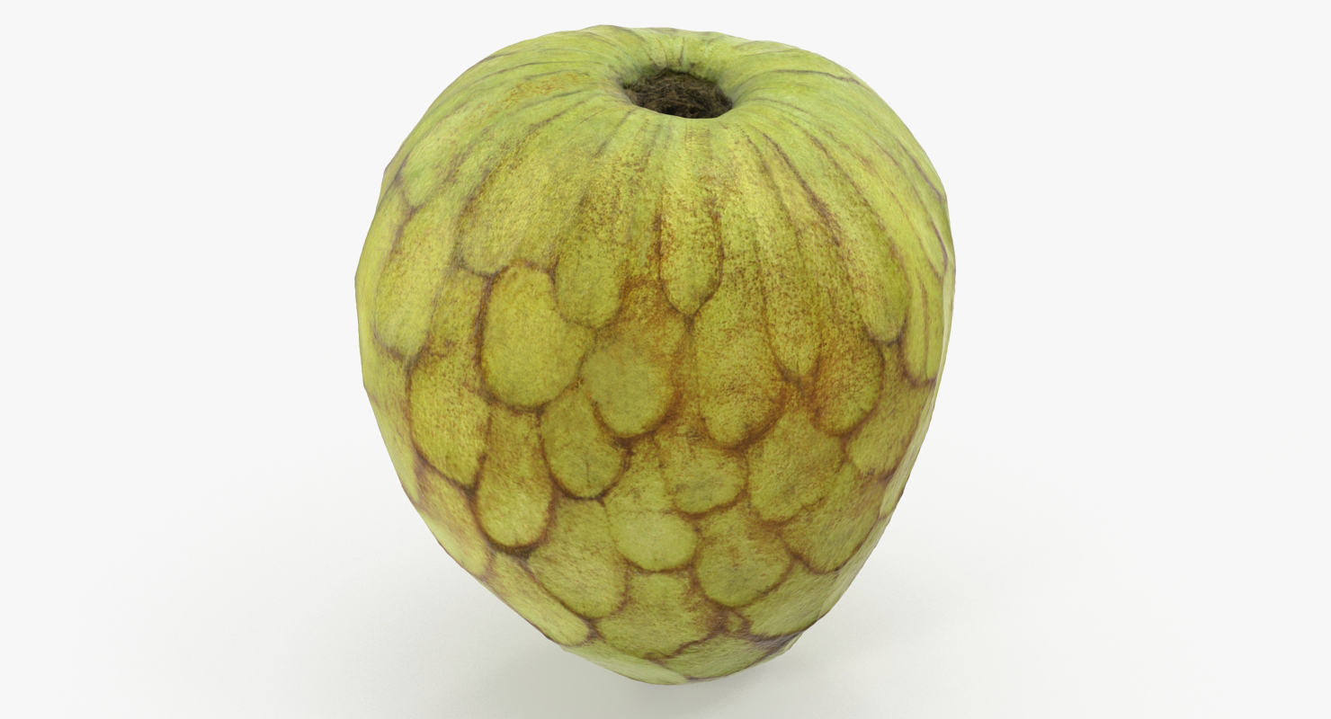 3D model Cherimoya or Annona Cherimola Fruit