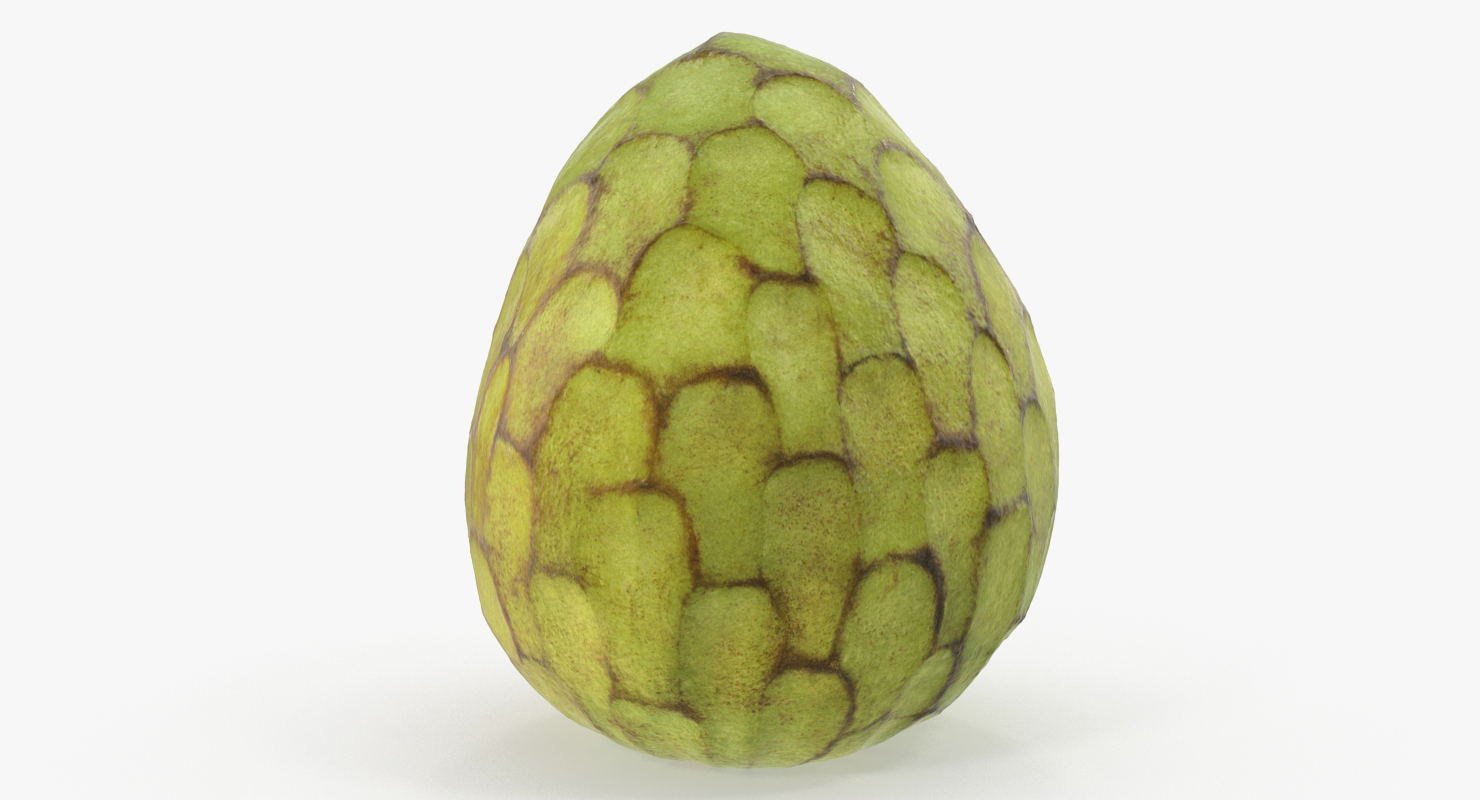 3D model Cherimoya or Annona Cherimola Fruit