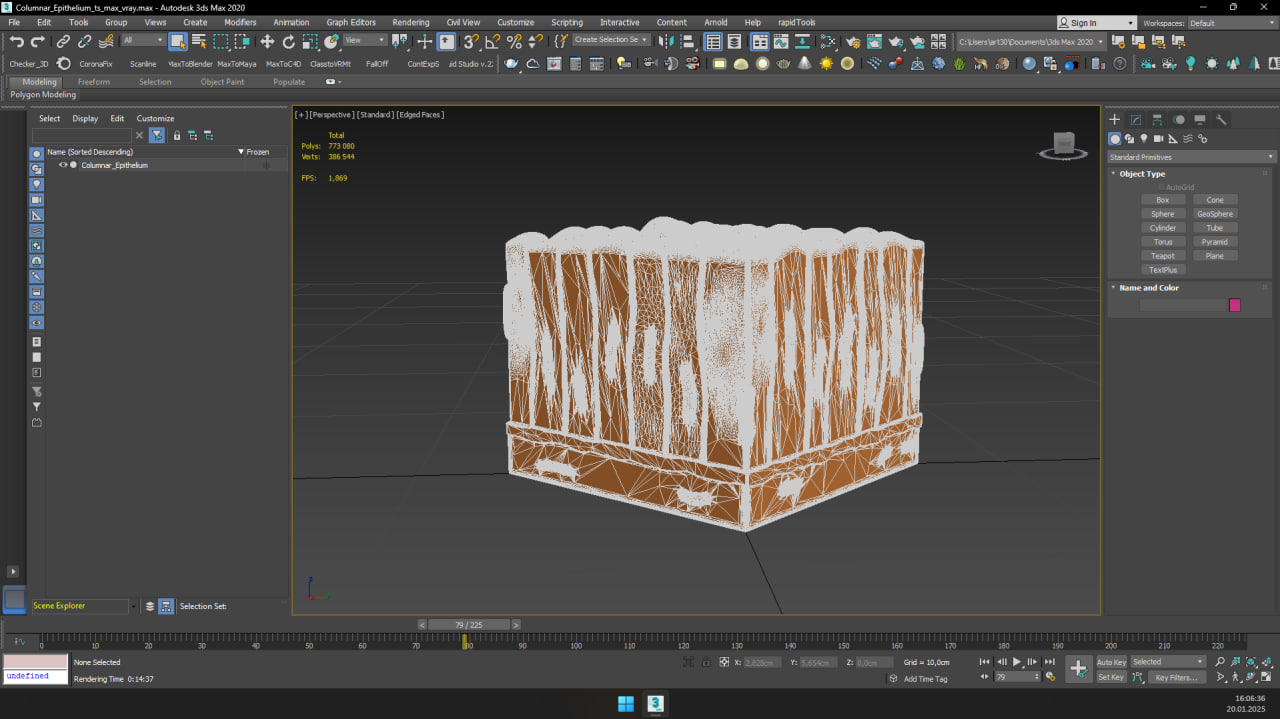 Columnar Epithelium for 3D Print 3D