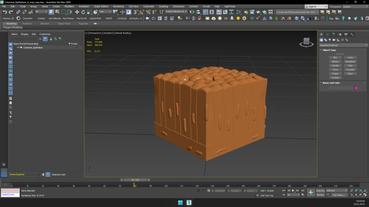 Columnar Epithelium for 3D Print 3D