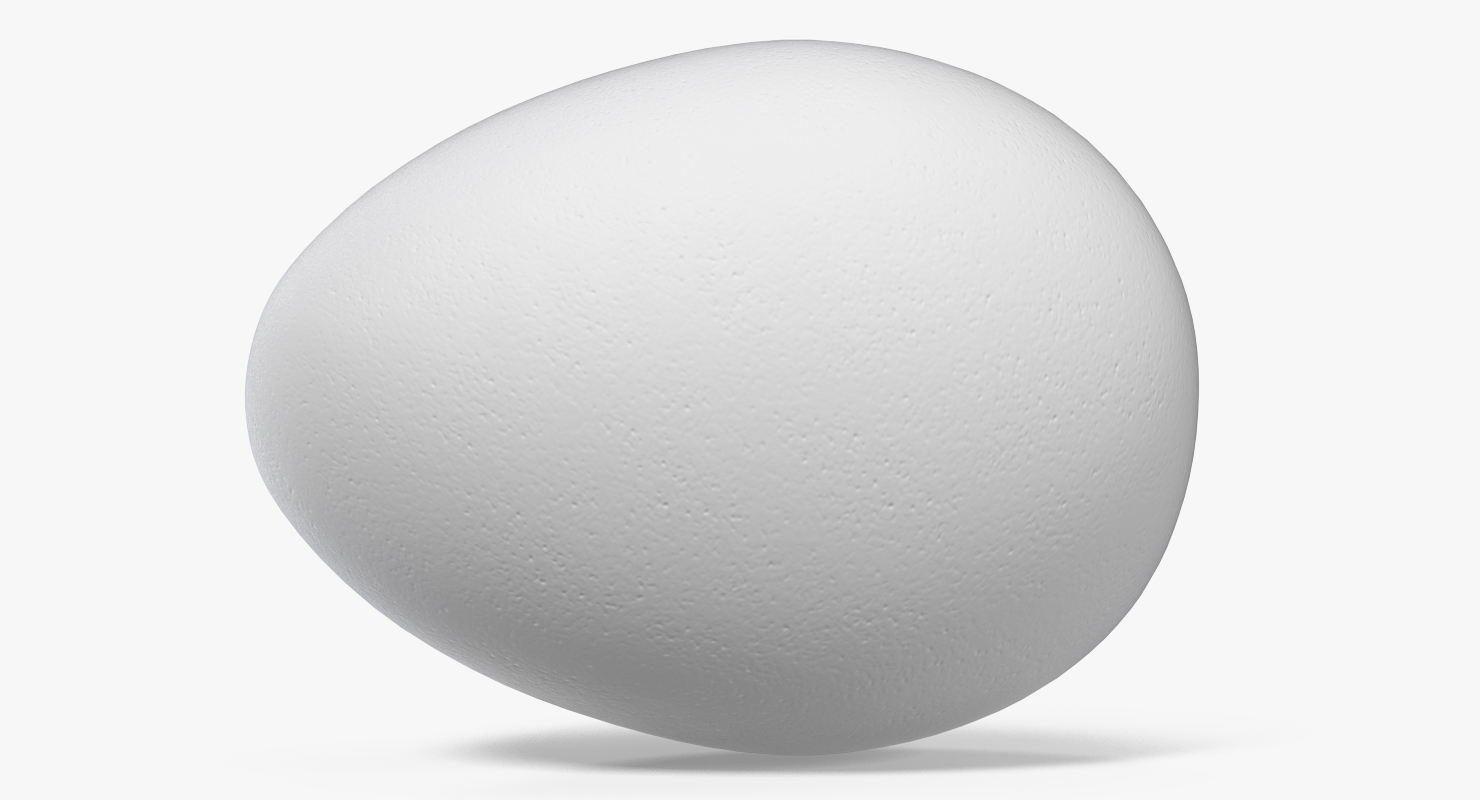 White Egg 3D model