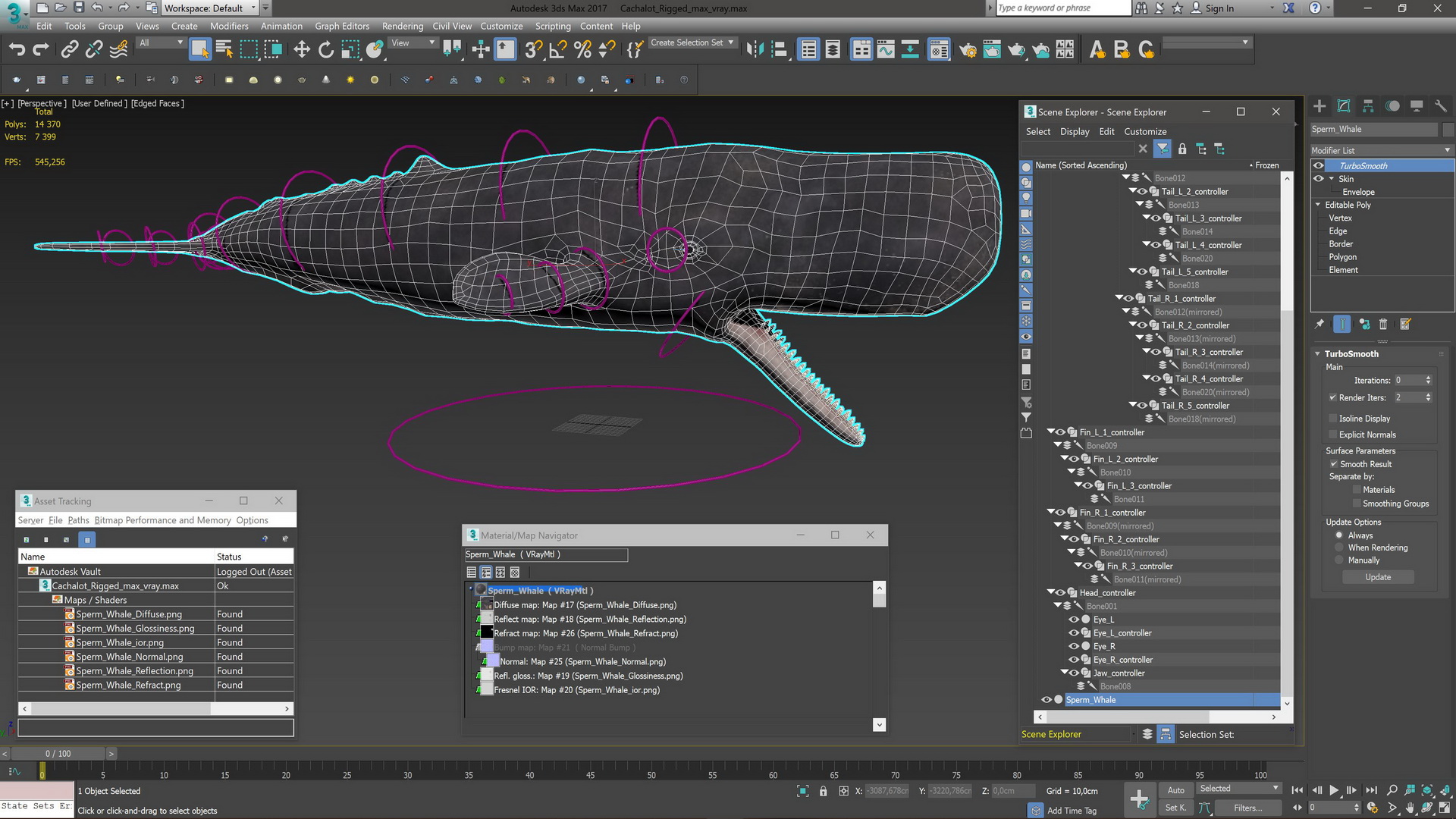 Cachalot Rigged for Maya 3D model