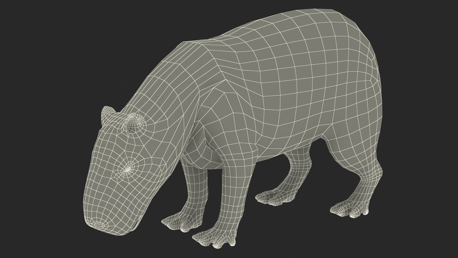 3D model Capybara Eating Pose