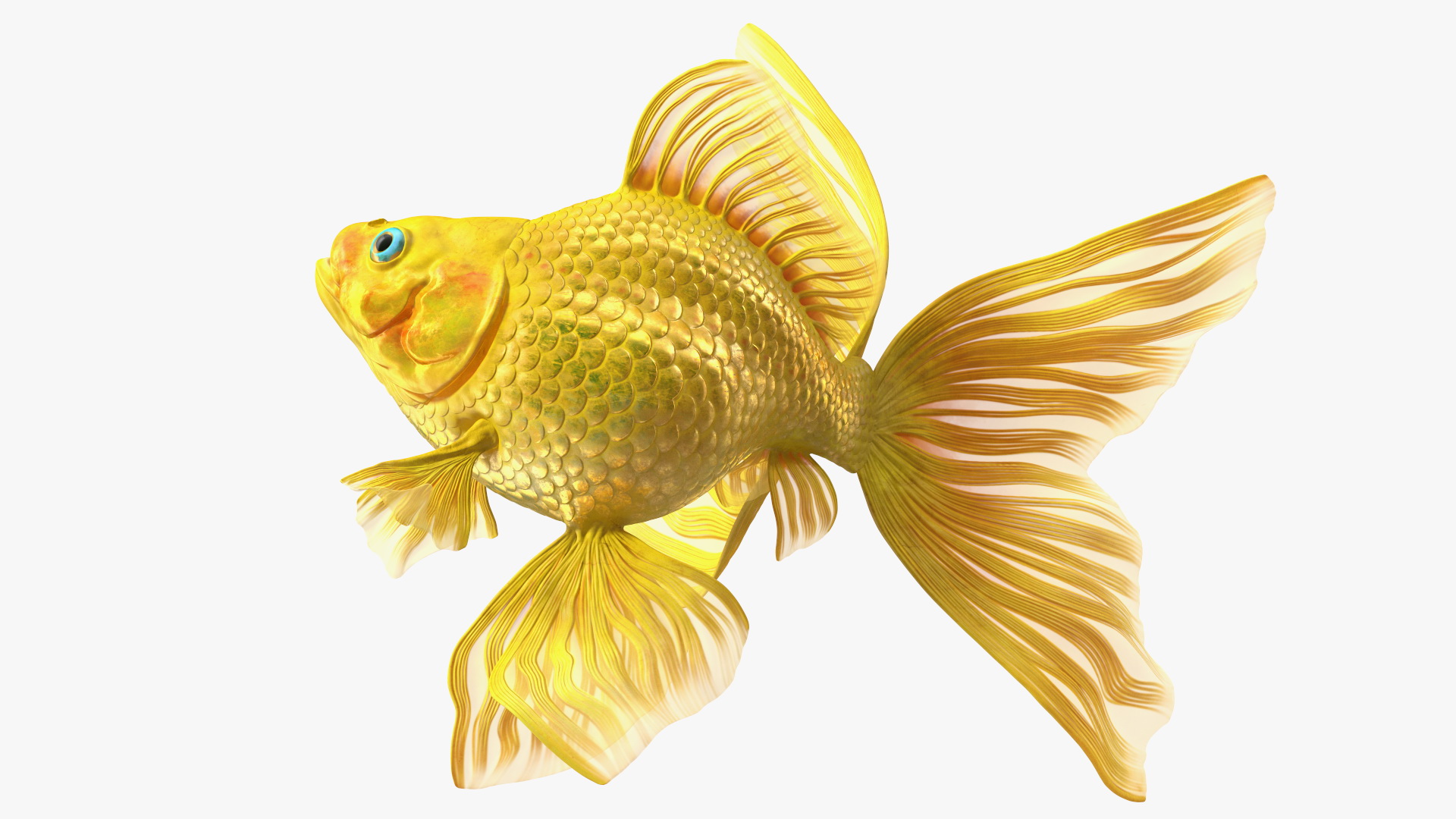 3D Goldfish Swim model