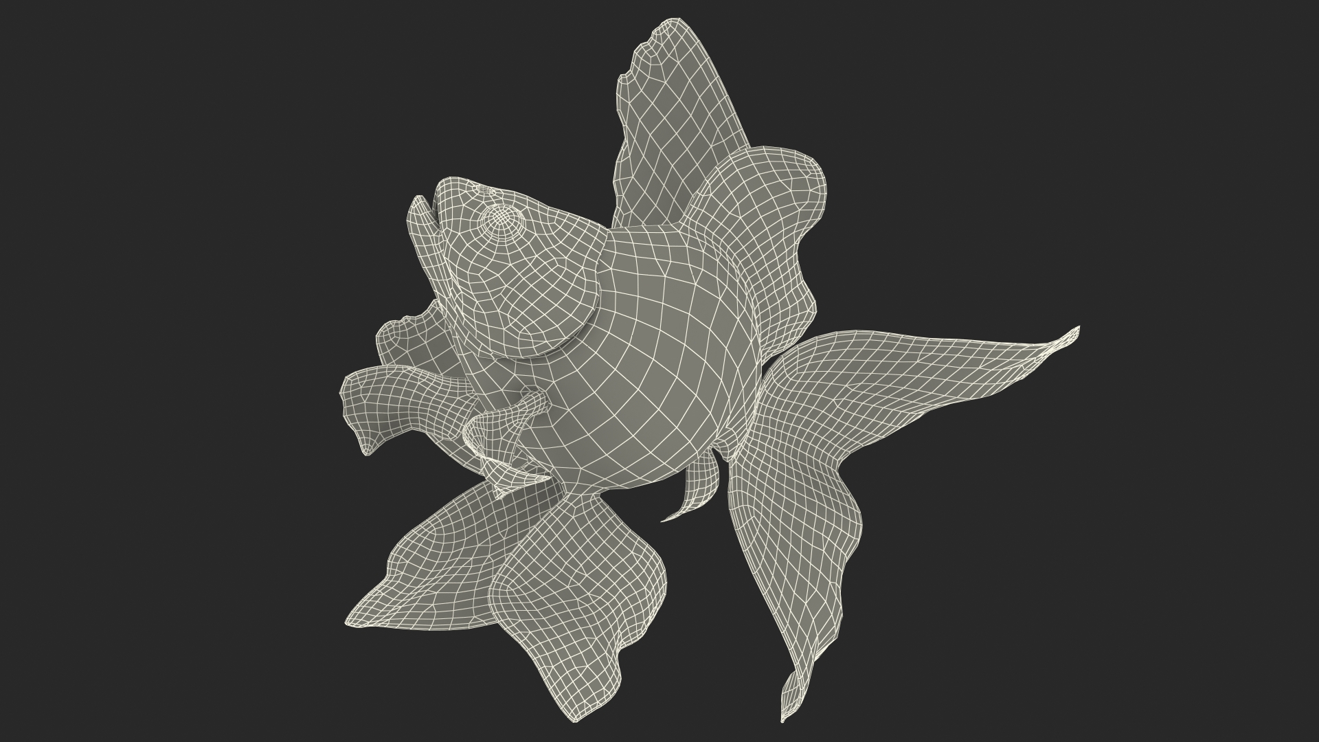 3D Goldfish Swim model