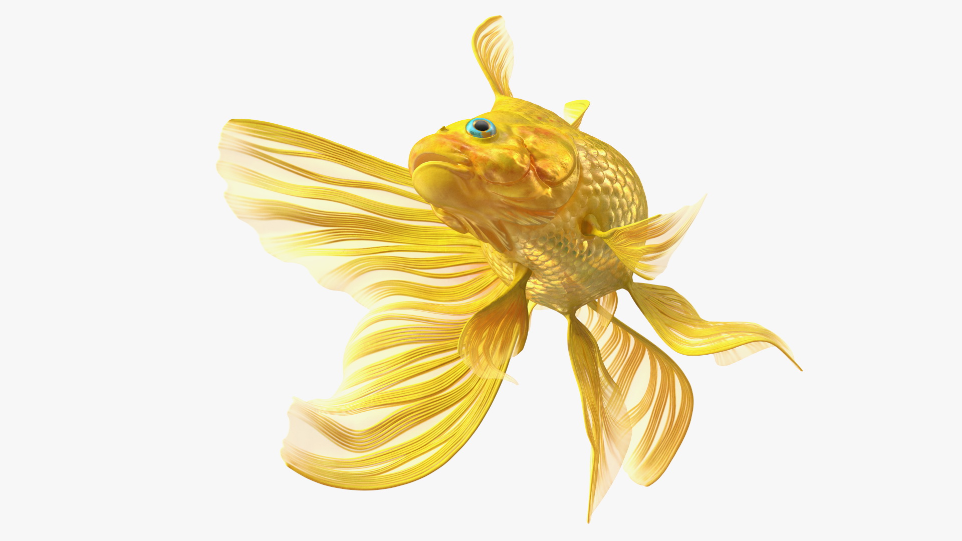 3D Goldfish Swim model