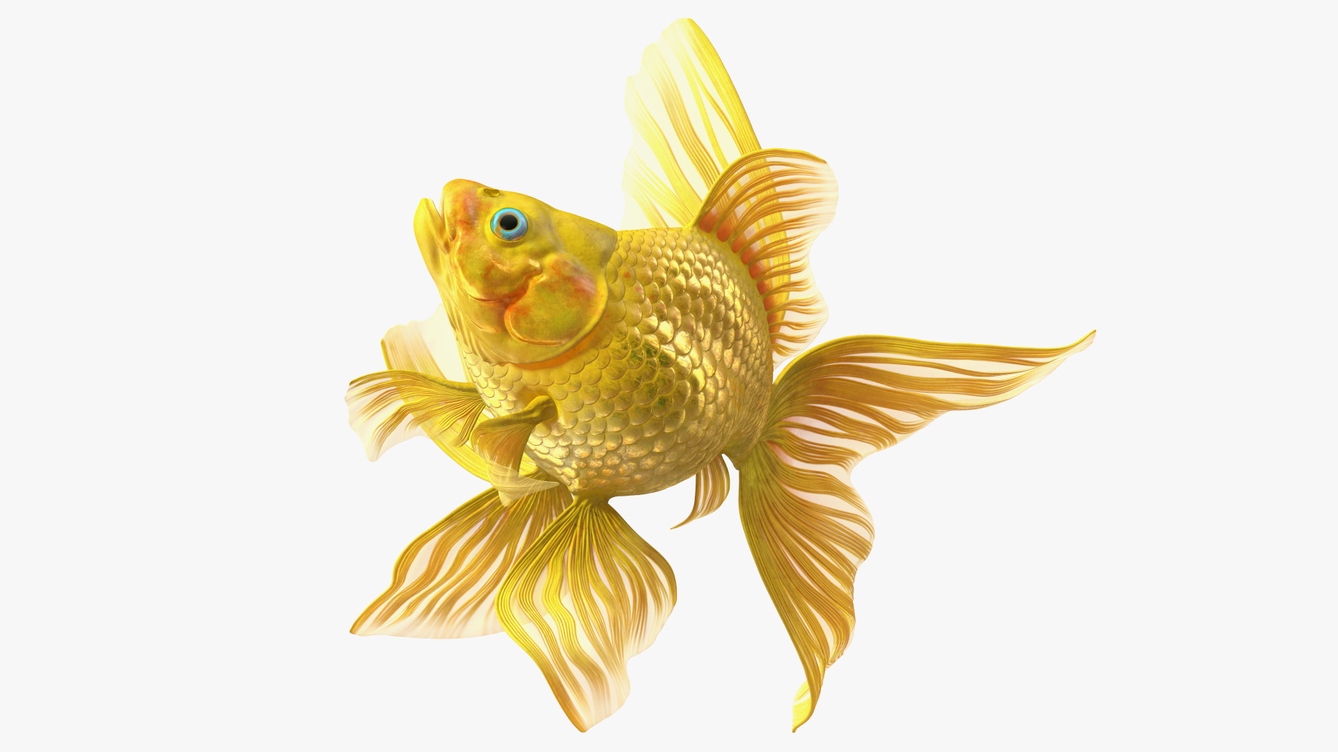 3D Goldfish Swim model