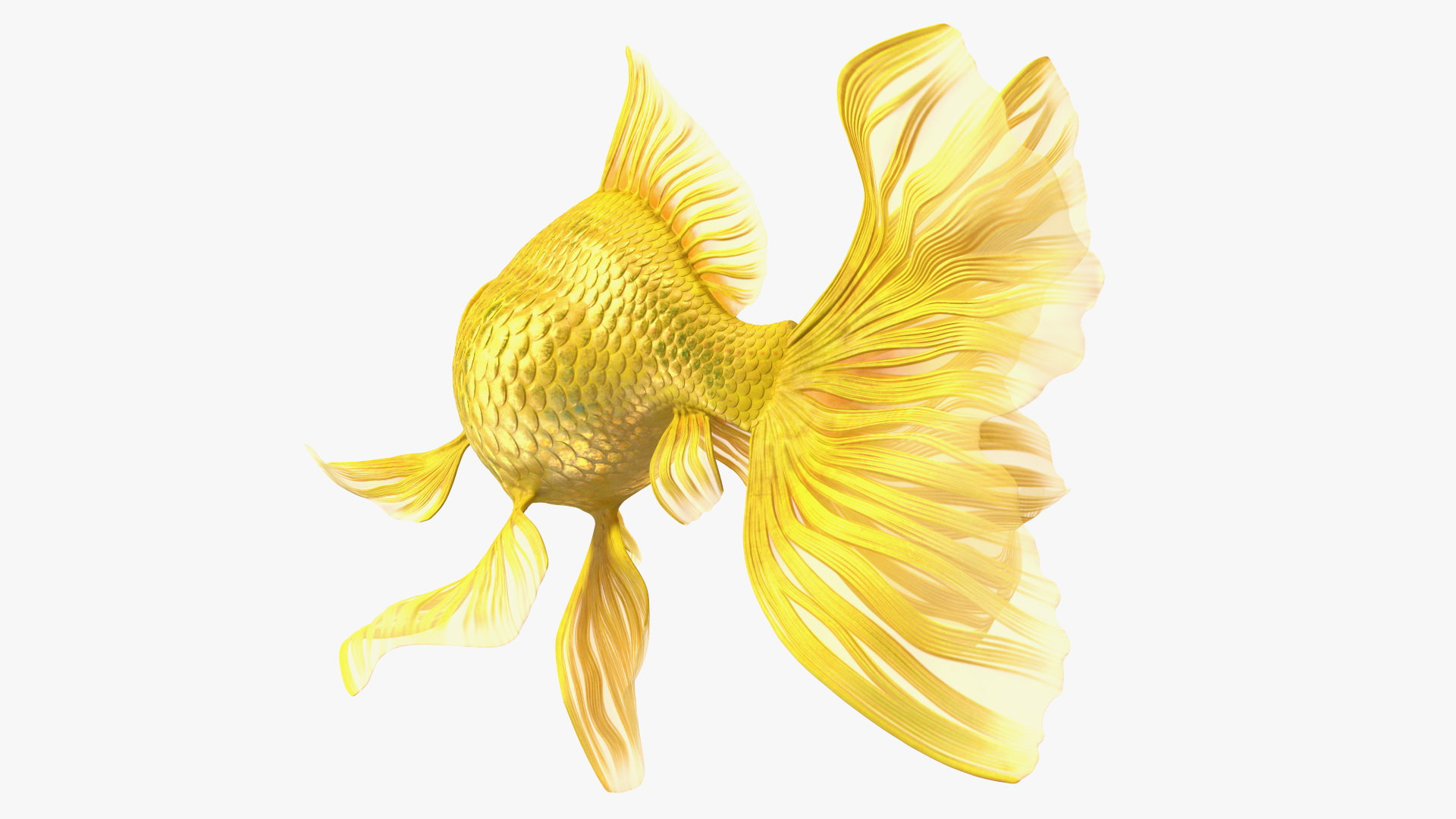 3D Goldfish Swim model