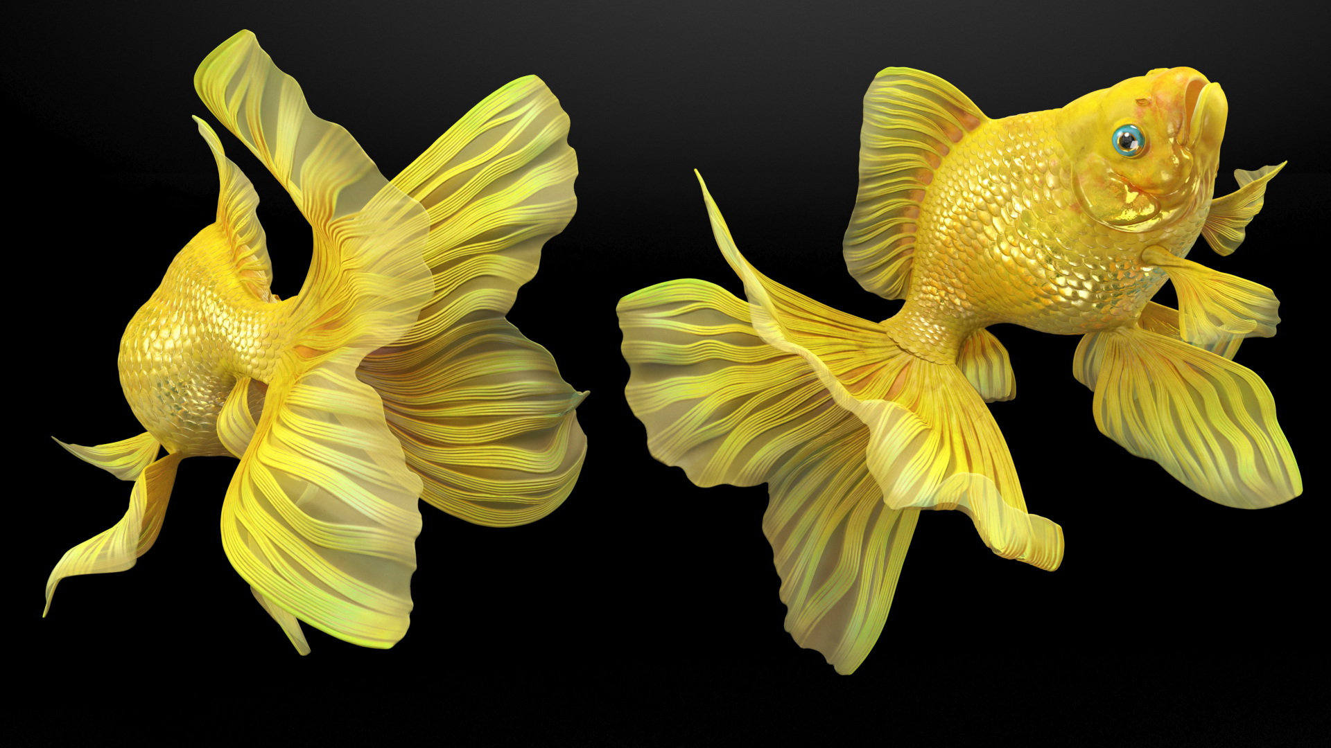 3D Goldfish Swim model