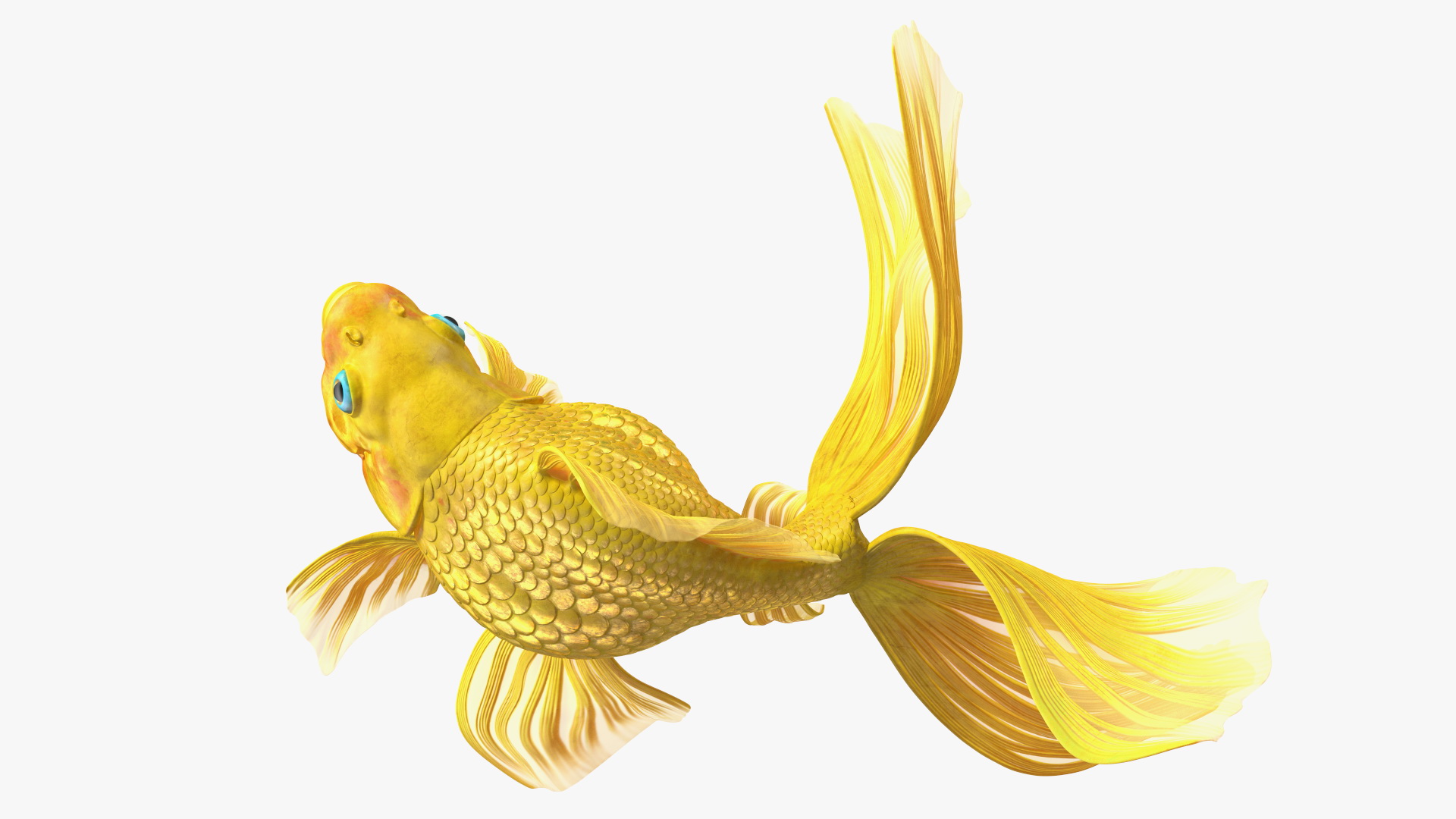 3D Goldfish Swim model